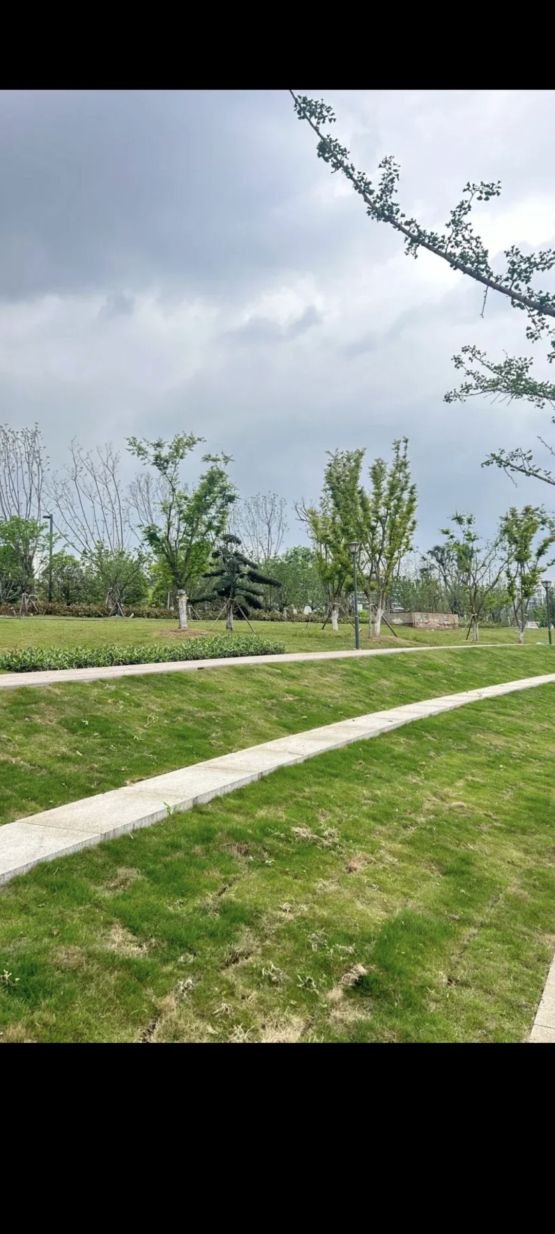 花石公园旅行图片 2