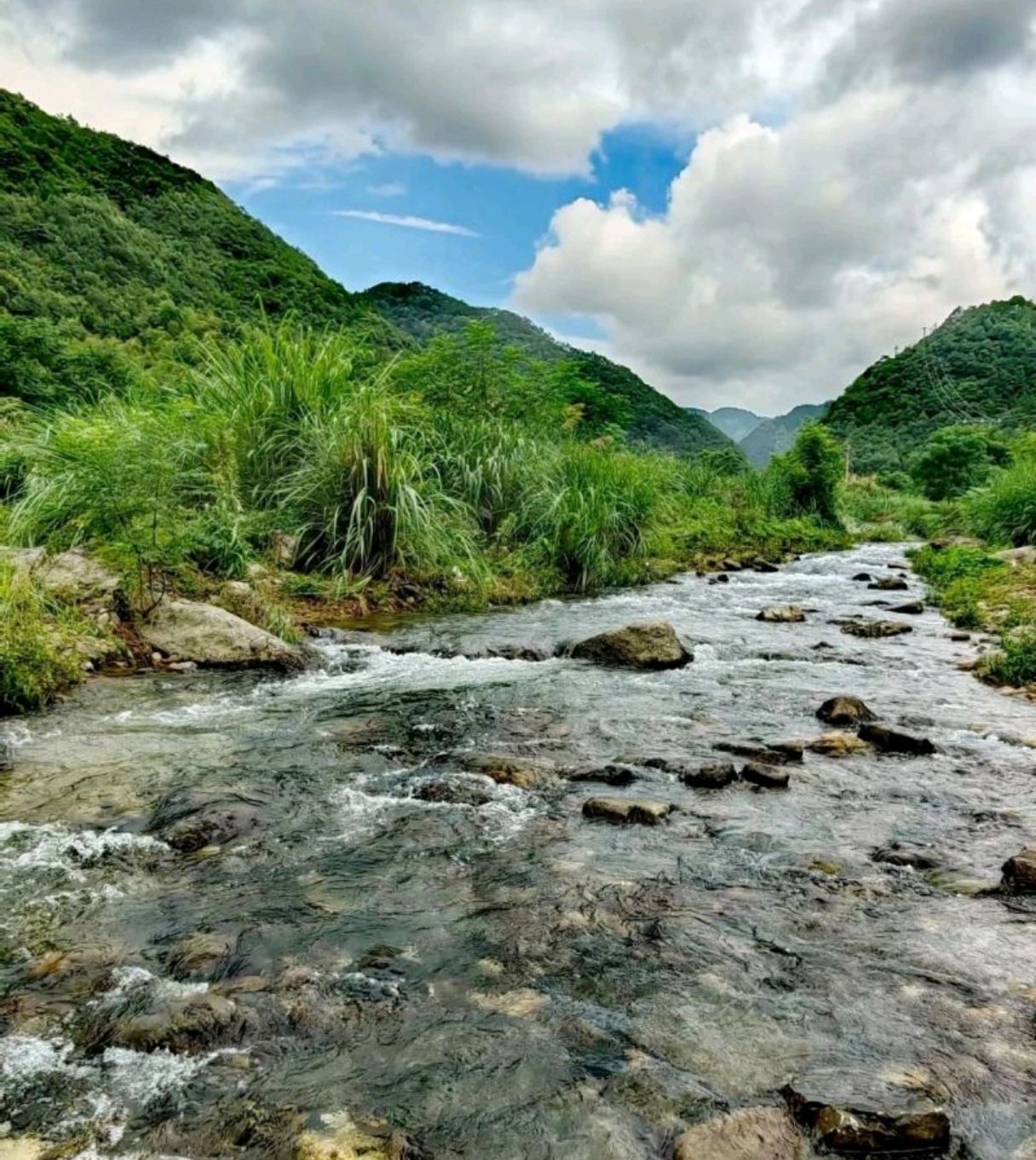 年坑村-露营地