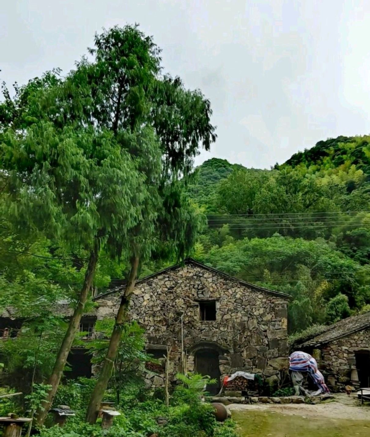 年坑村-露营地