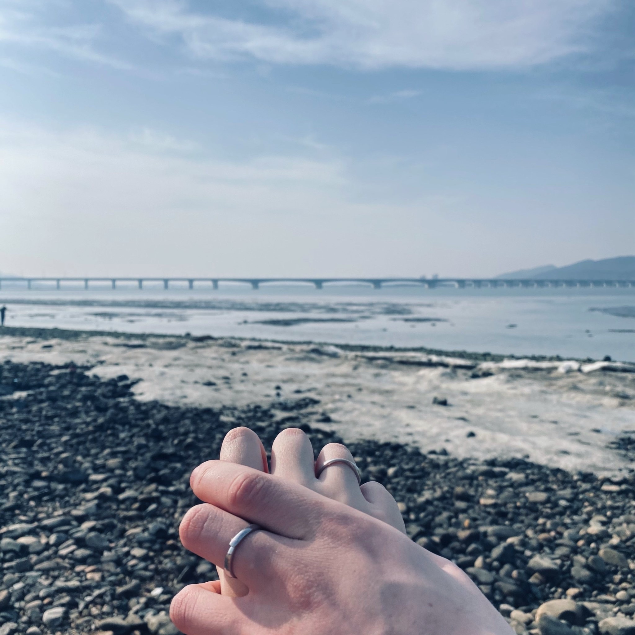 莲之湾公园旅行图片 1