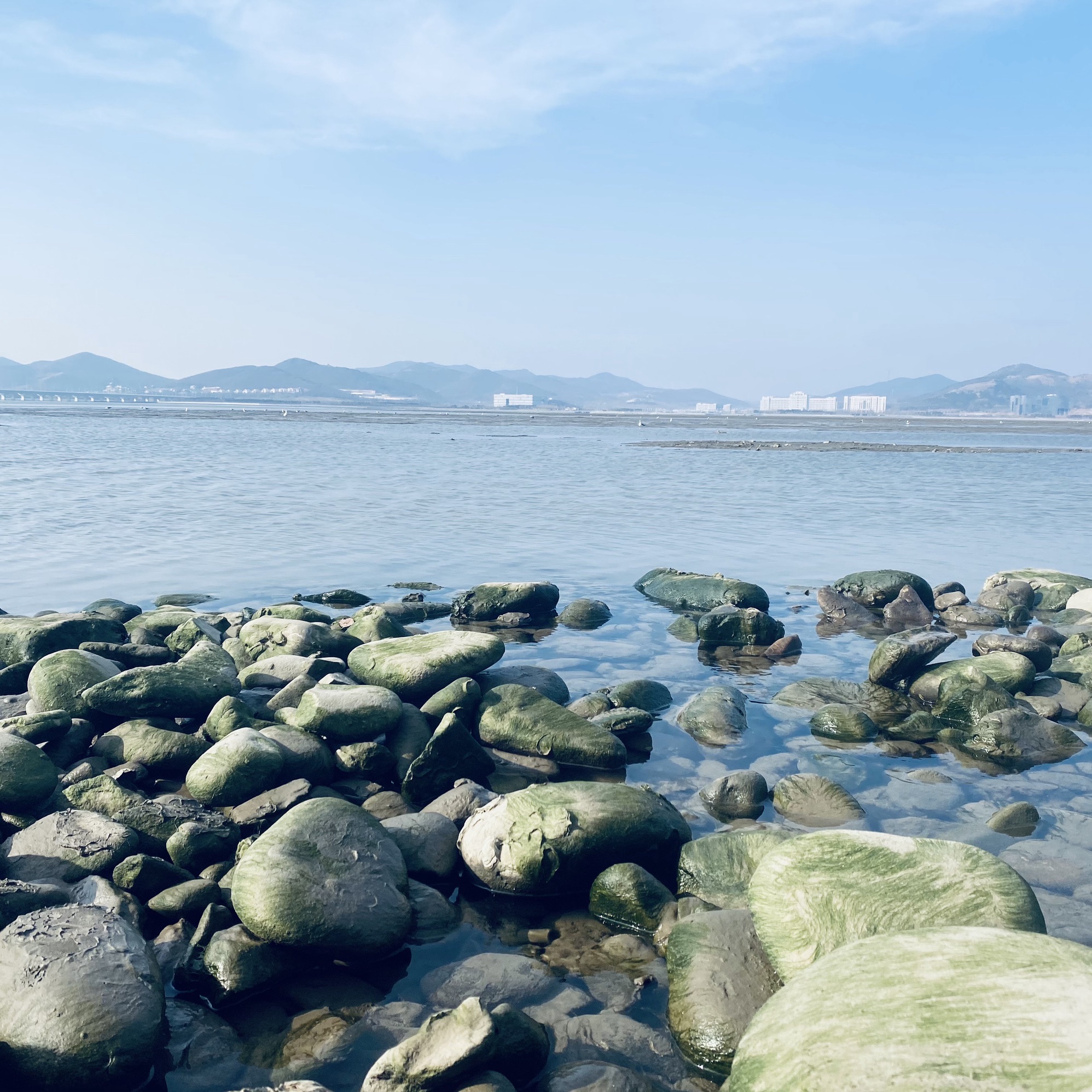 莲之湾公园旅行图片 2