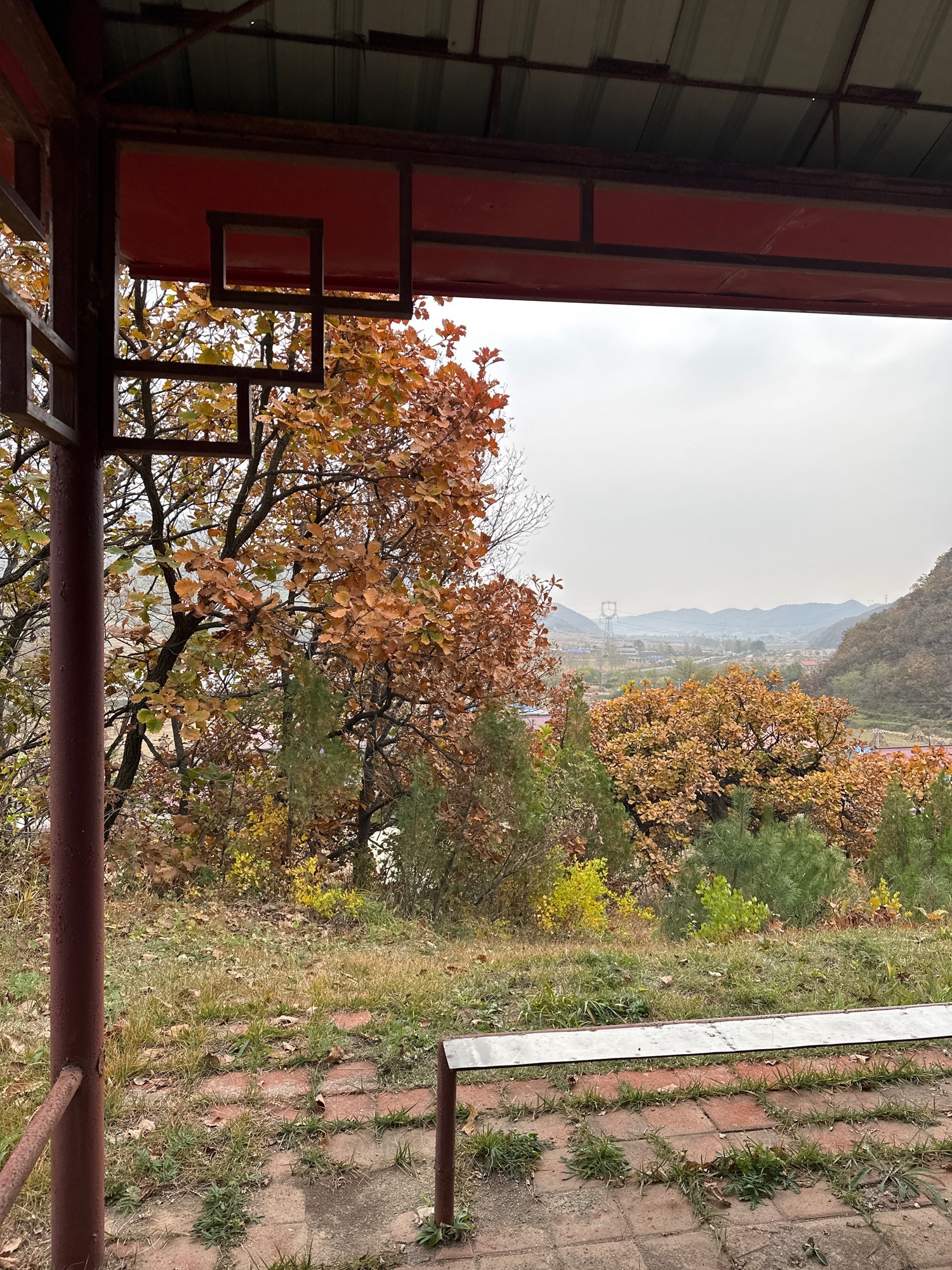 望山亭旅行图片 2