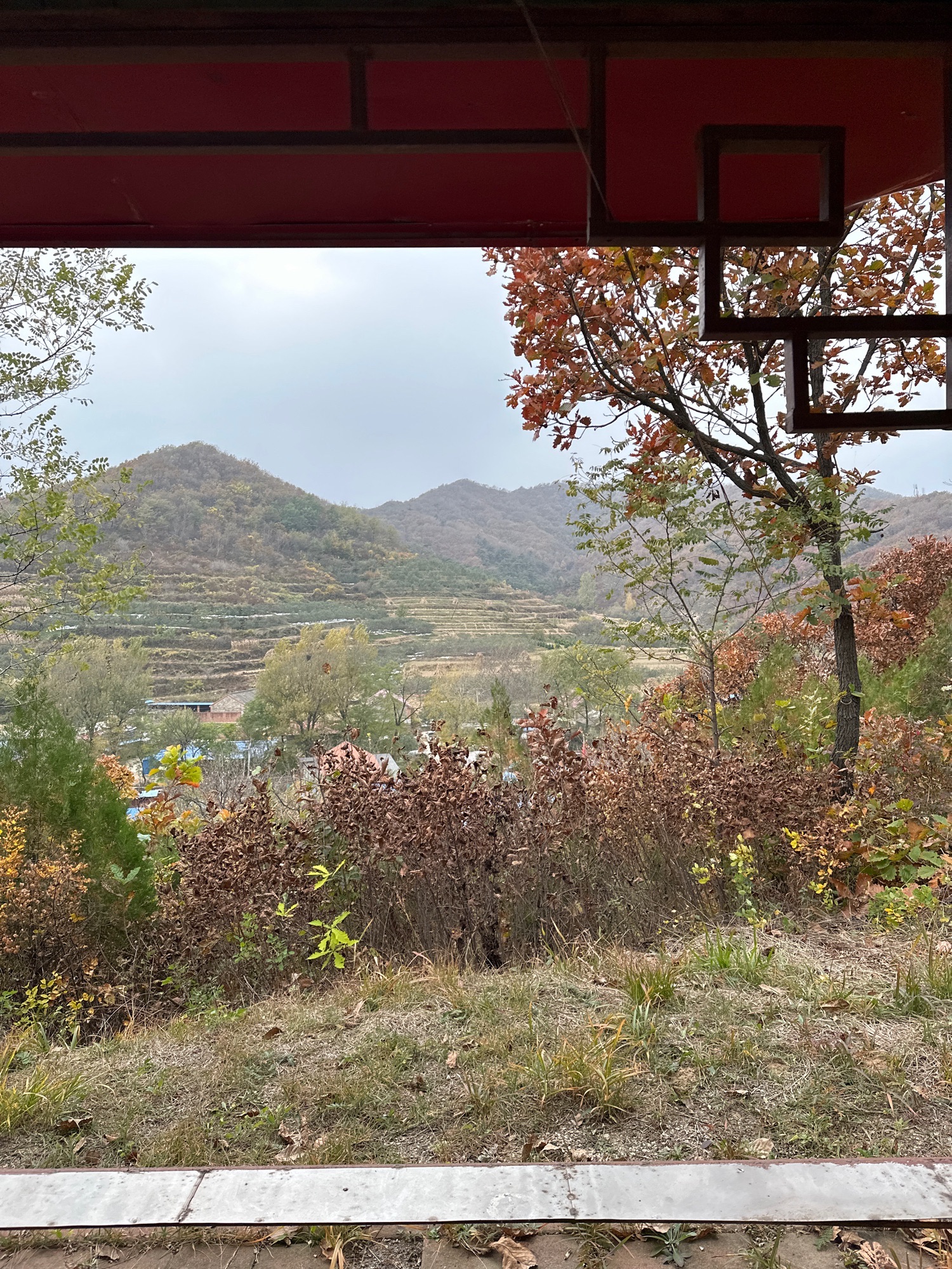 望山亭旅行图片 3