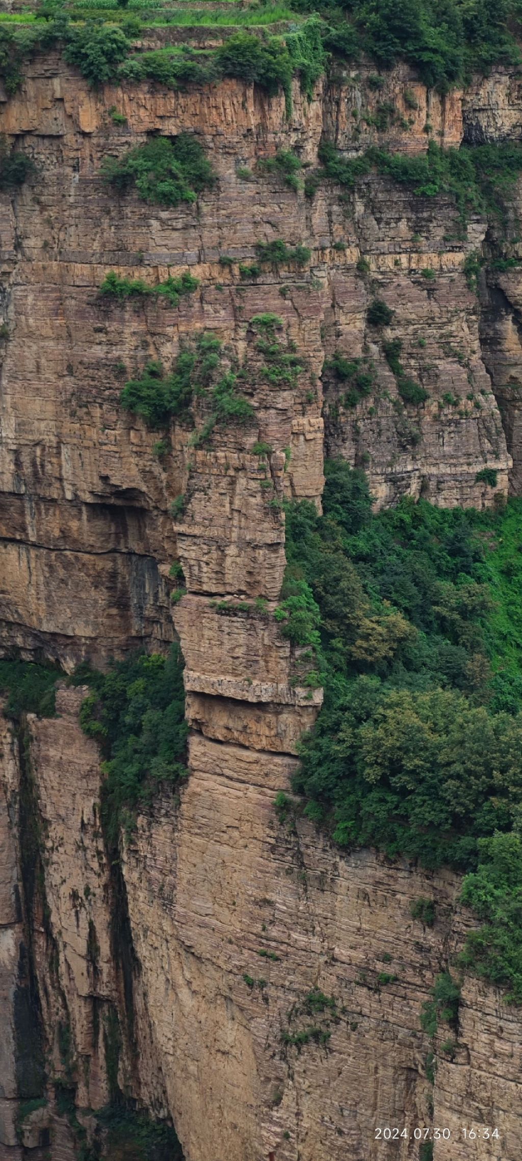 凤凰观景台旅行图片 1