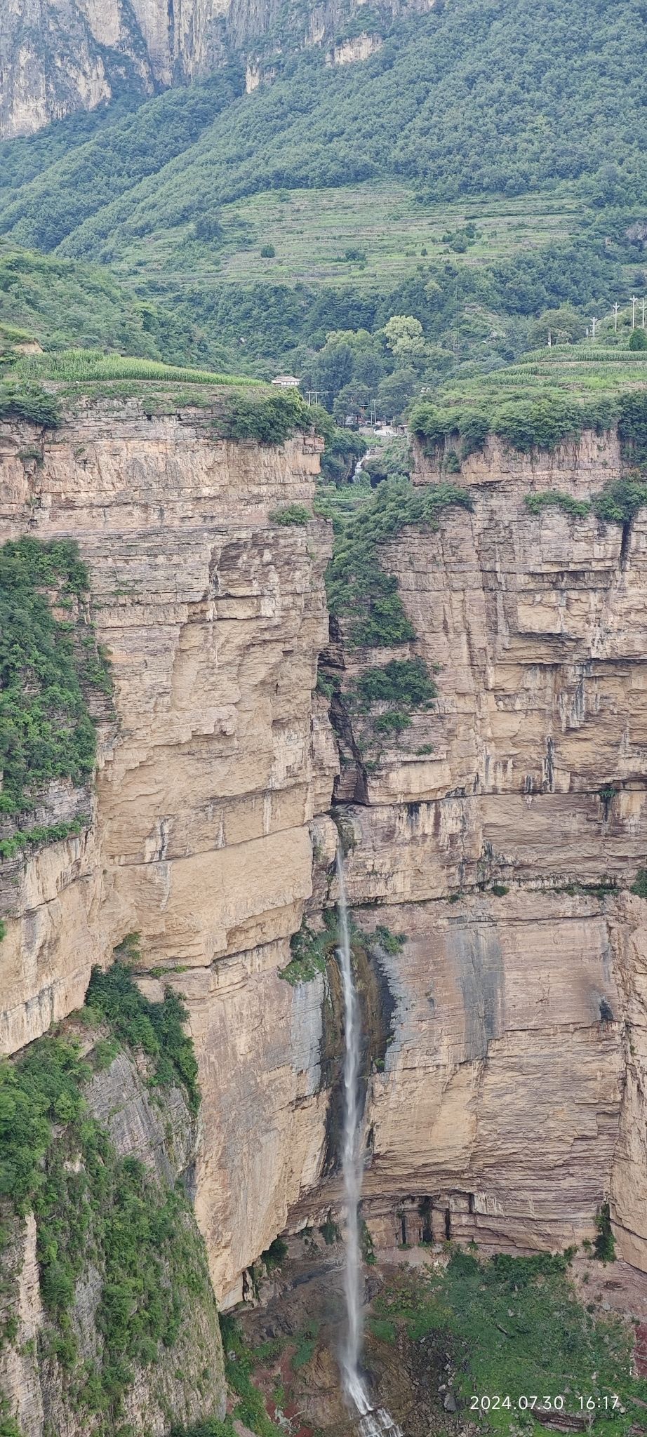 凤凰观景台旅行图片 1