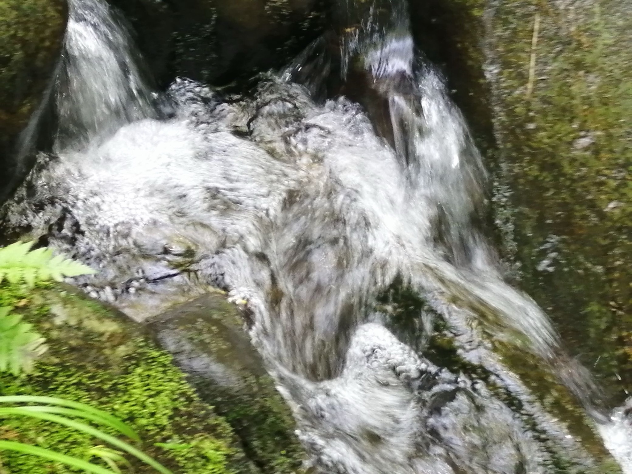 新县滴水崖瀑布旅行图片 2