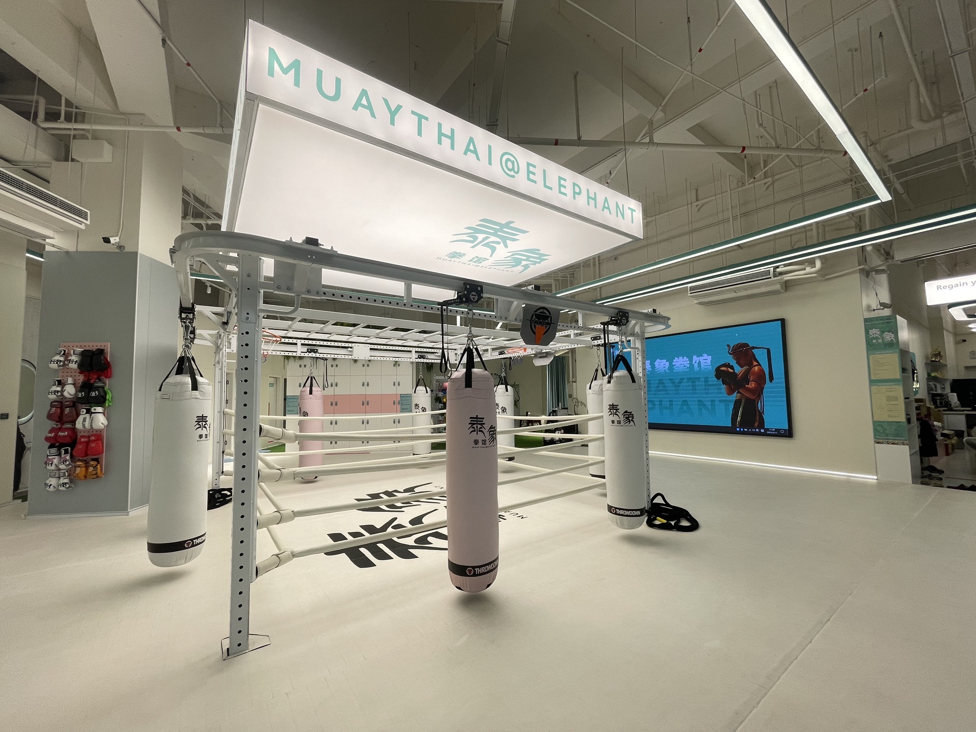 场地封面-泰象拳馆(云门New Park店)