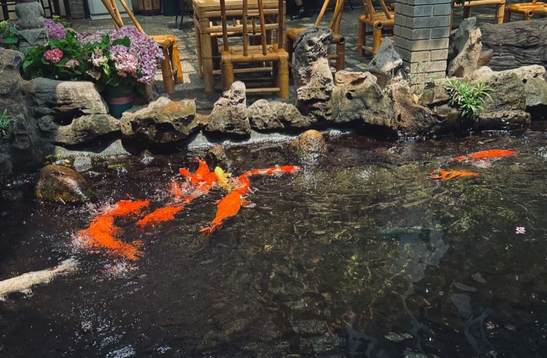 在水一方茶餐厅