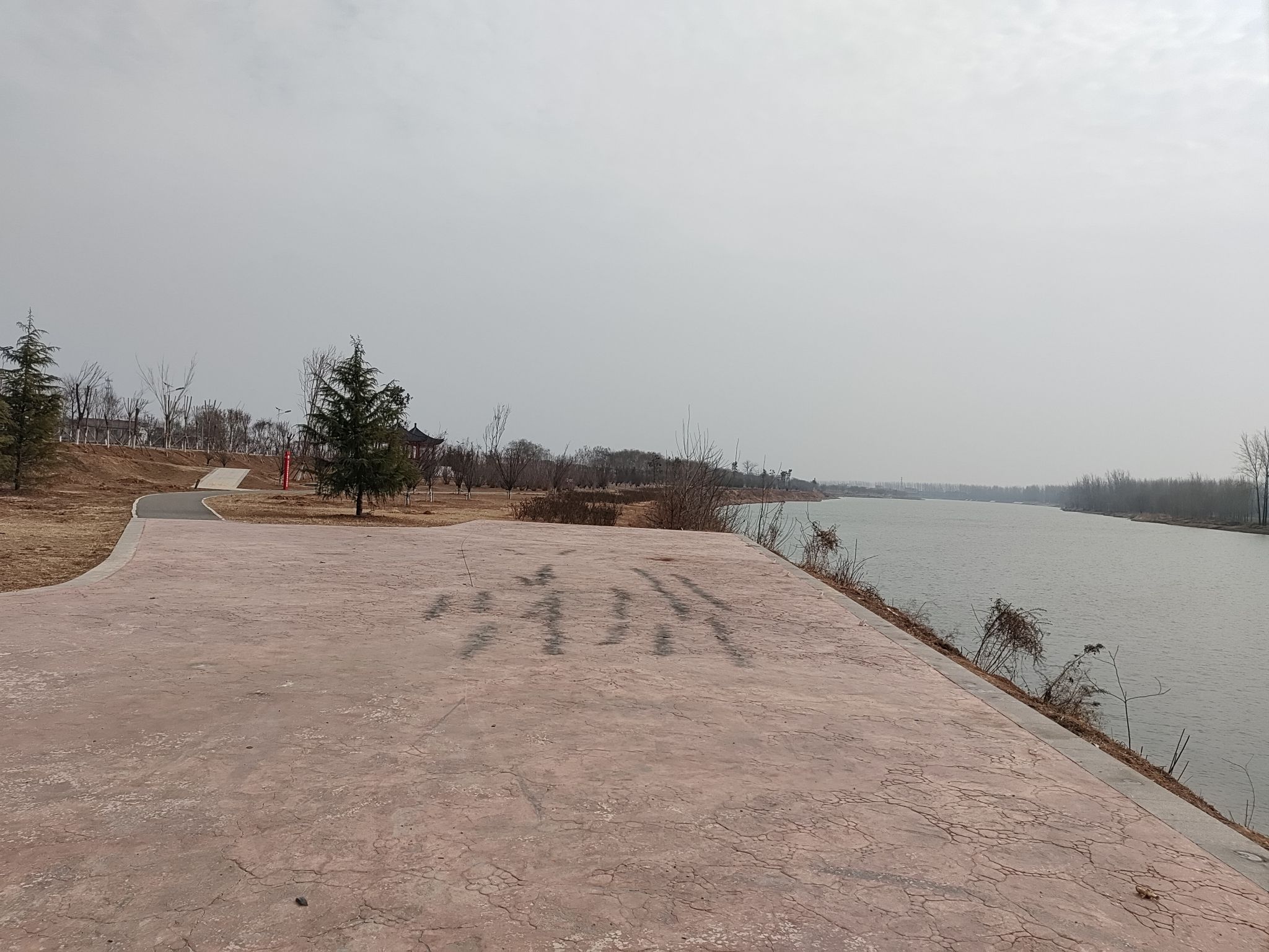 河南沈丘沙颍河省级湿地公园旅行图片 2