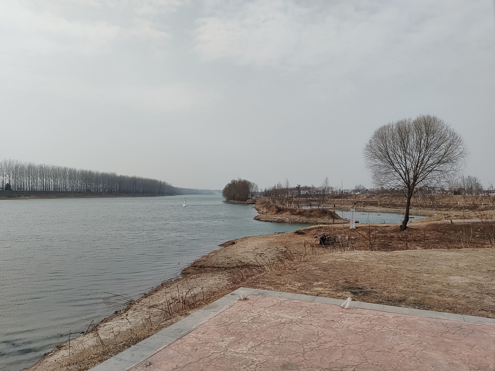 河南沈丘沙颍河省级湿地公园旅行图片 1