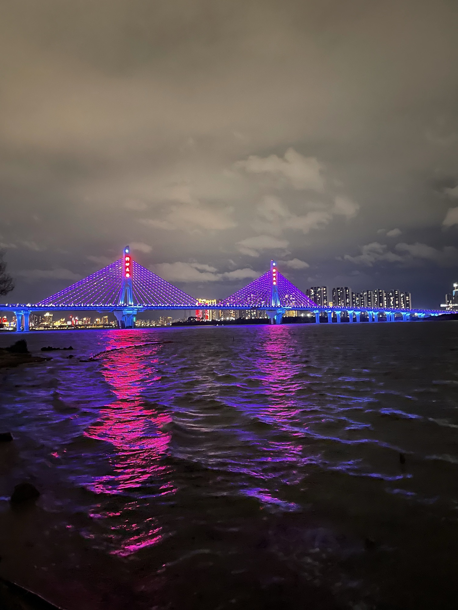 市民广场旅行图片 1