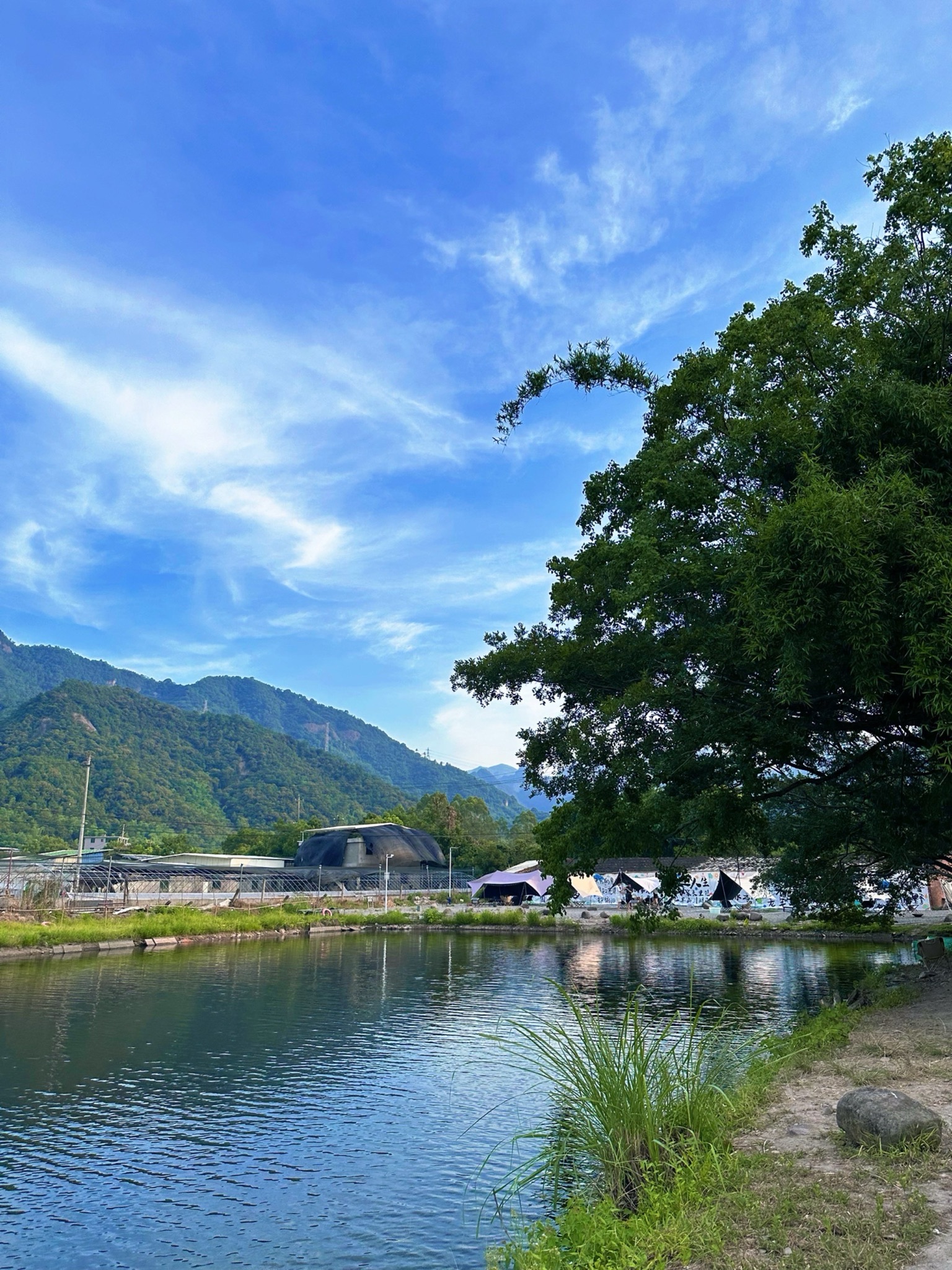 山野·鱼你