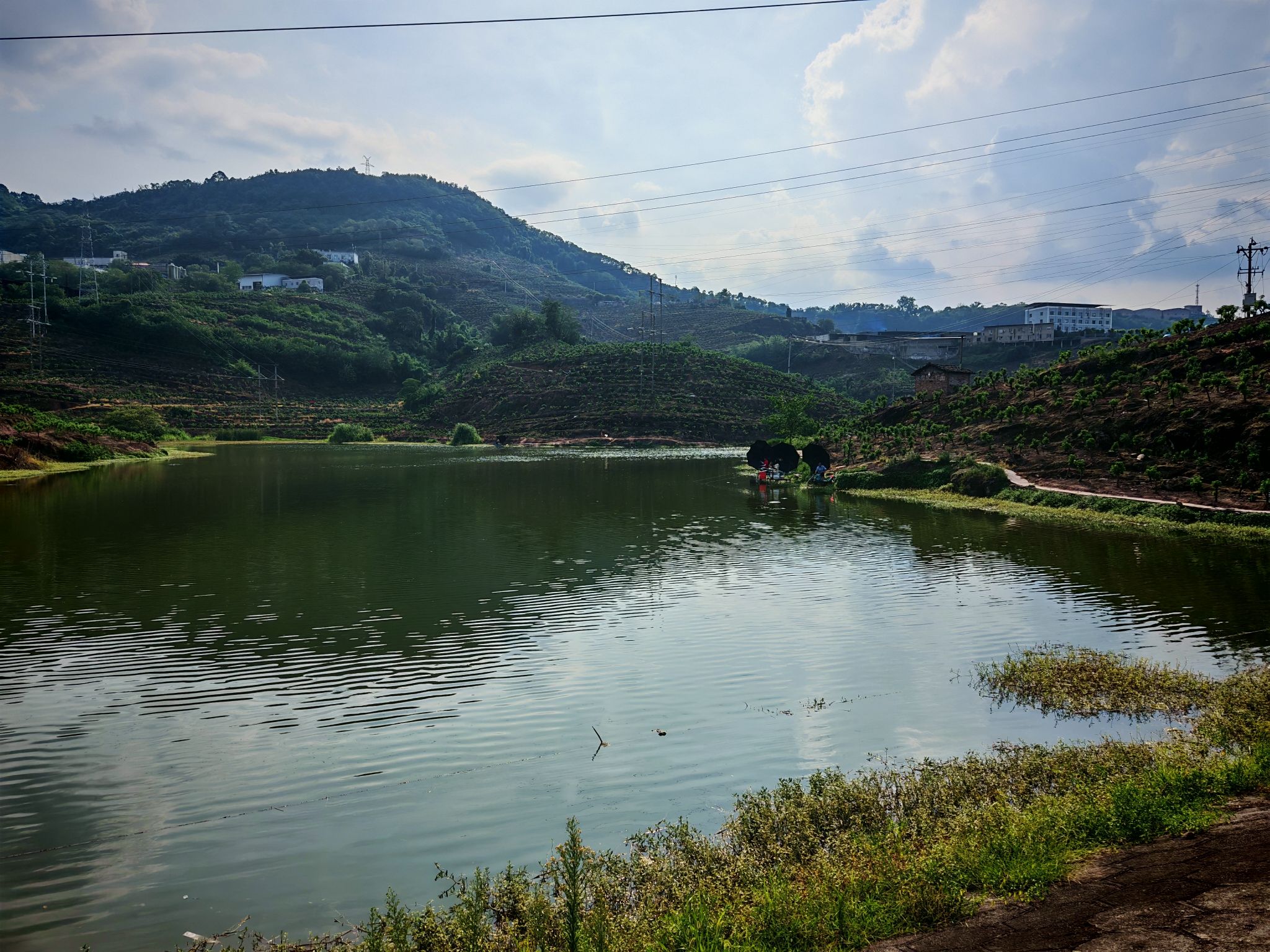 场地封面-江津区东拥湖垂钓俱乐部