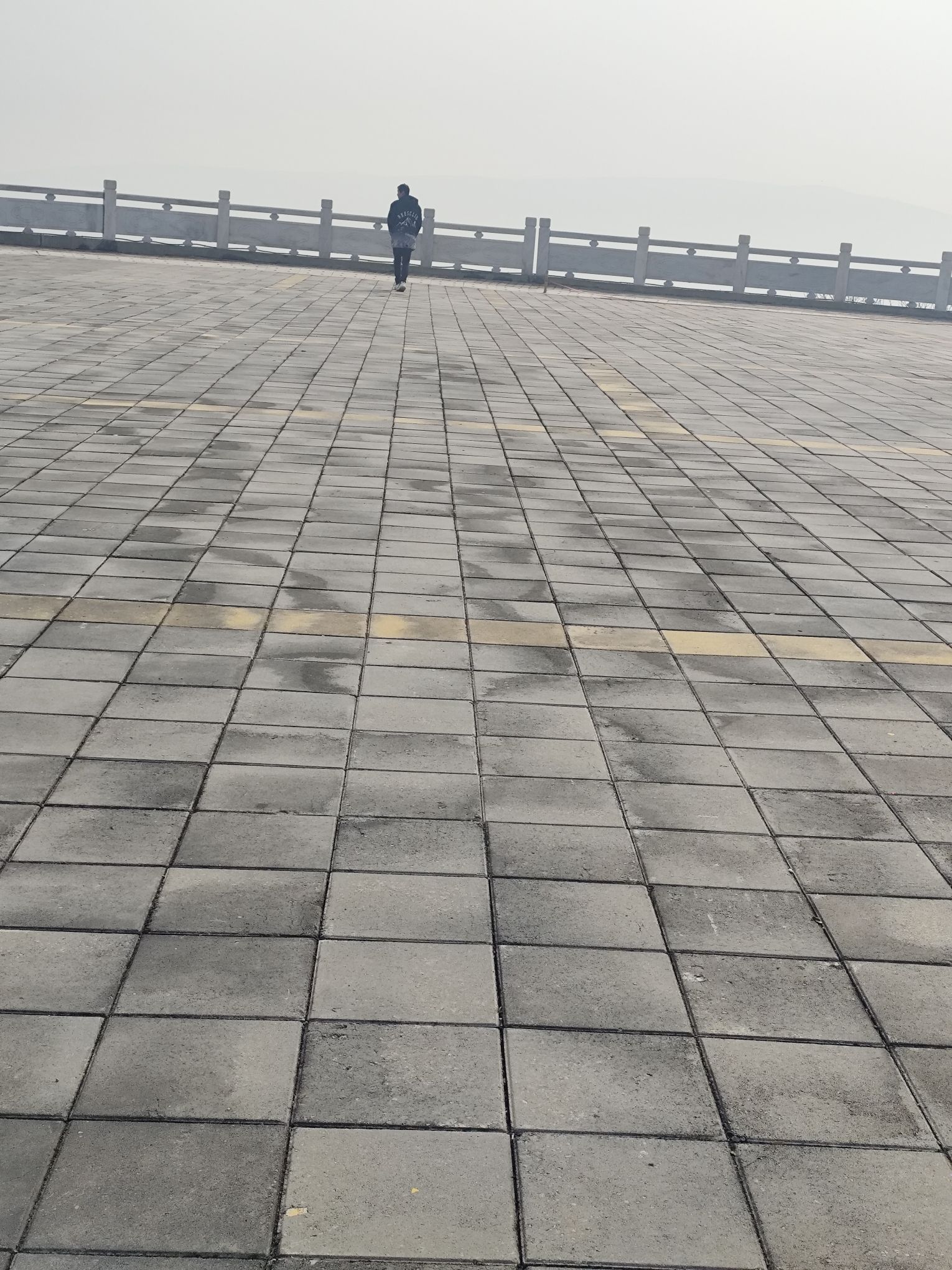 九重阁旅行图片 3