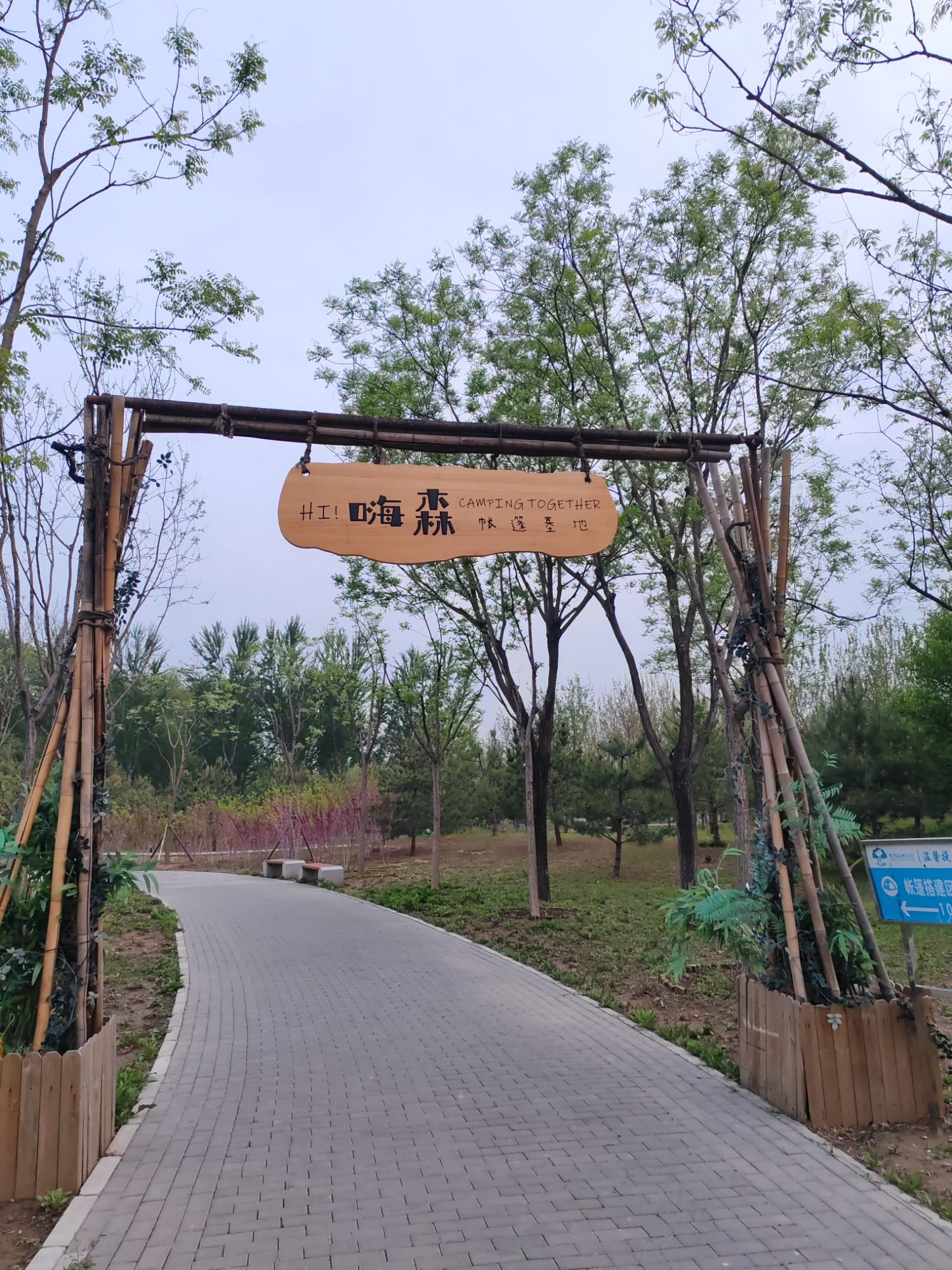 场地封面-嗨森帐篷营地