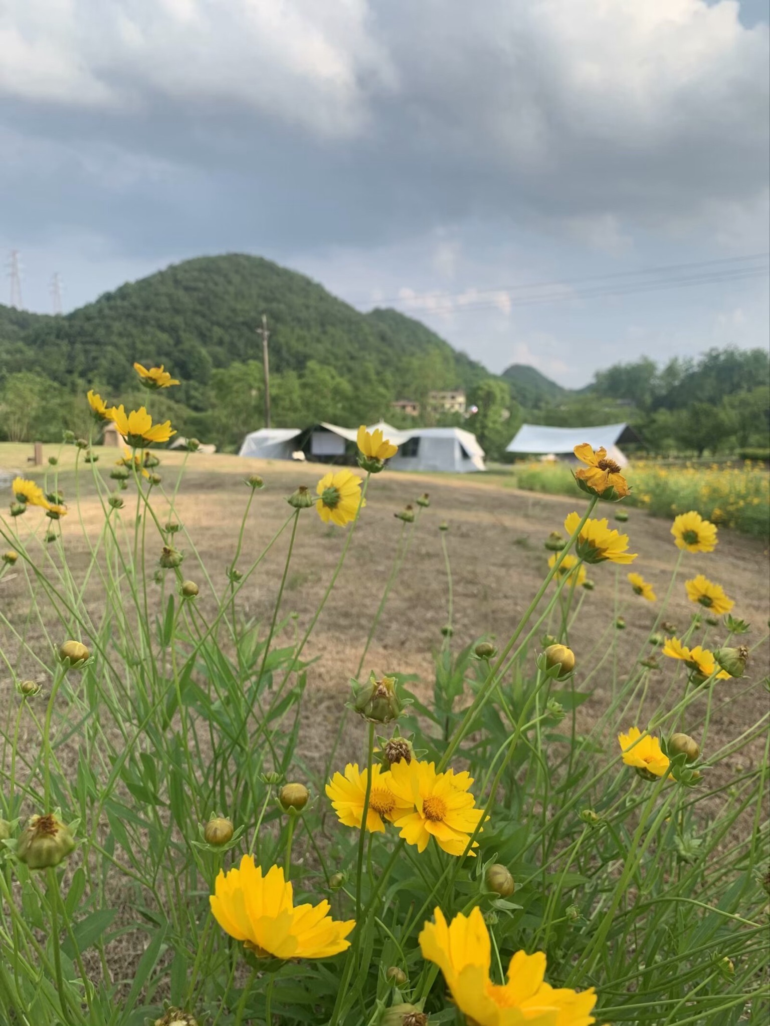 场地封面-中梁云岭森林公园露营地