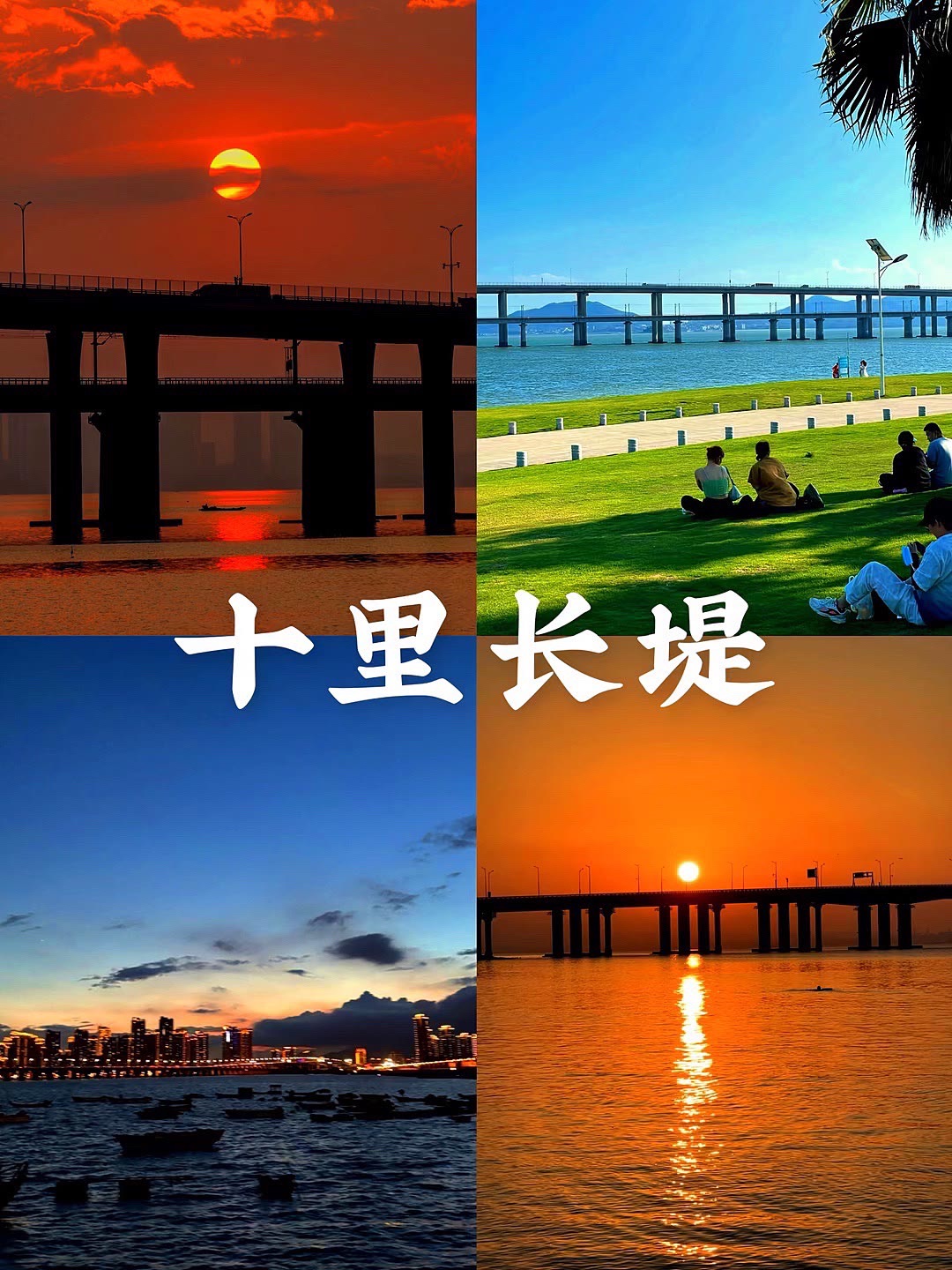 厦门十里长堤-露营地