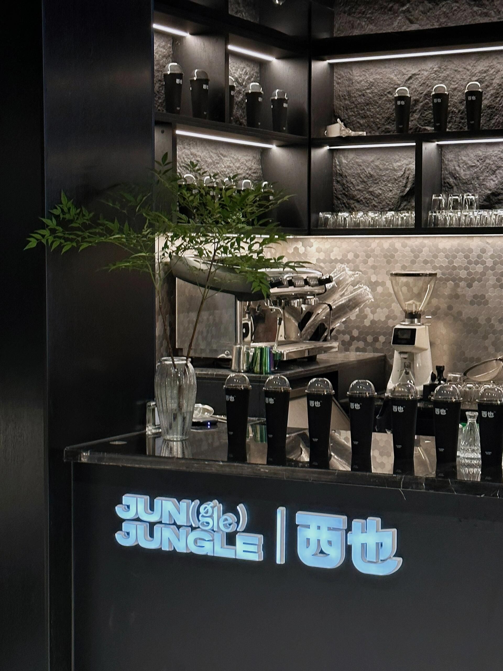 junglejungle西也龙岩店