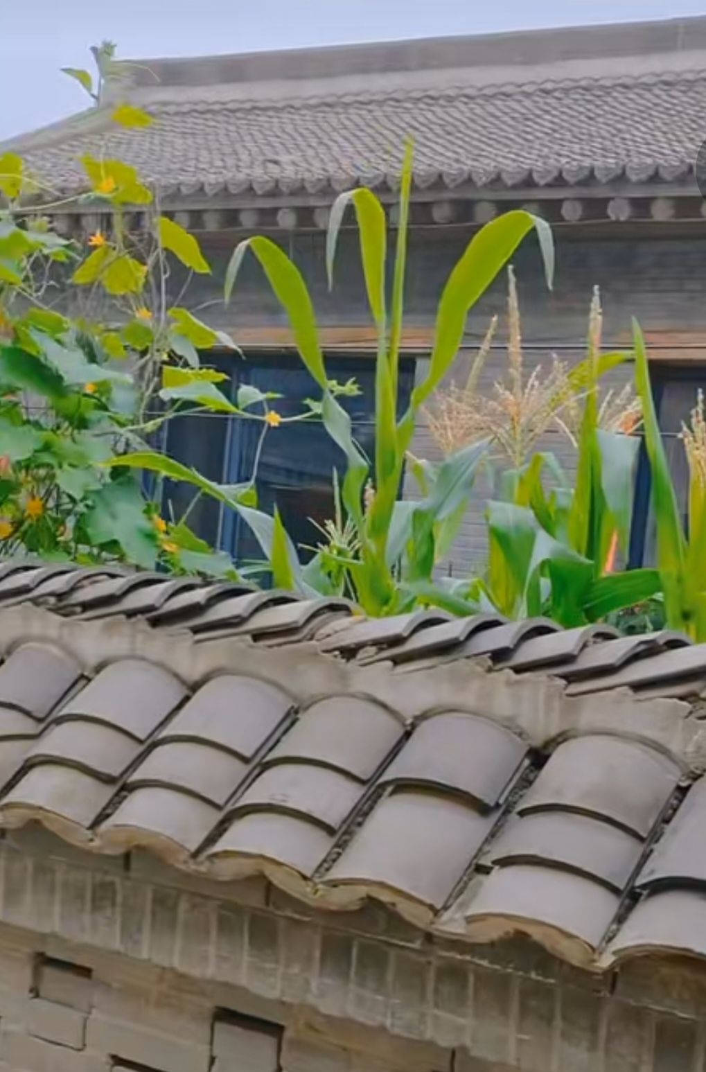 顾家台骆驼湾景区旅行图片 2