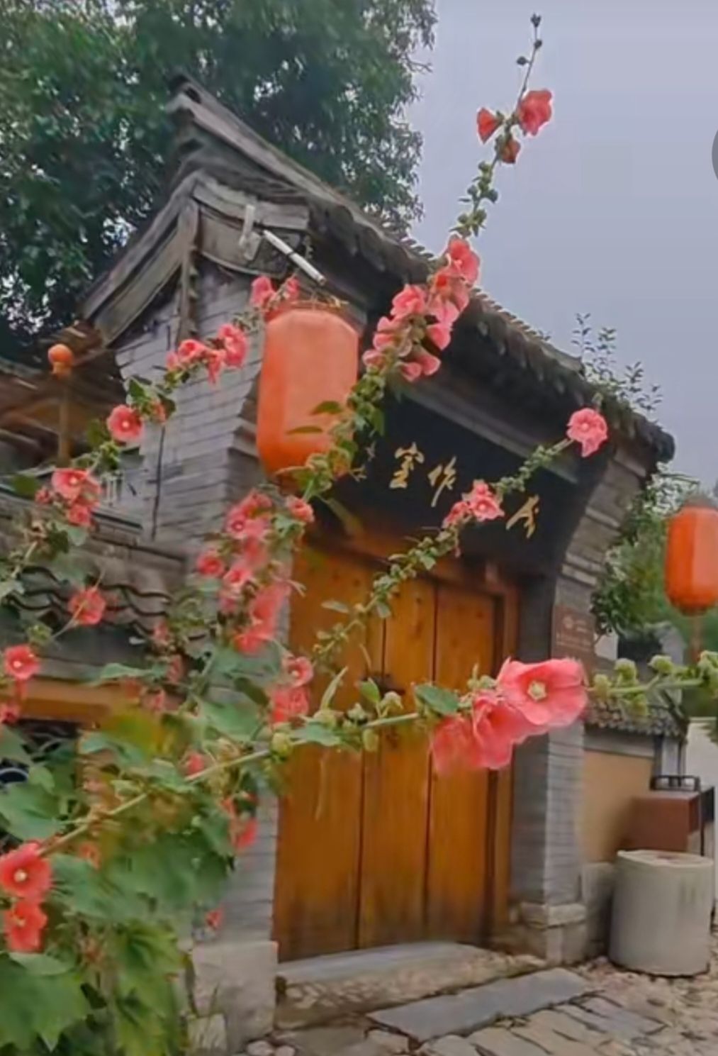 顾家台骆驼湾景区旅行图片 3
