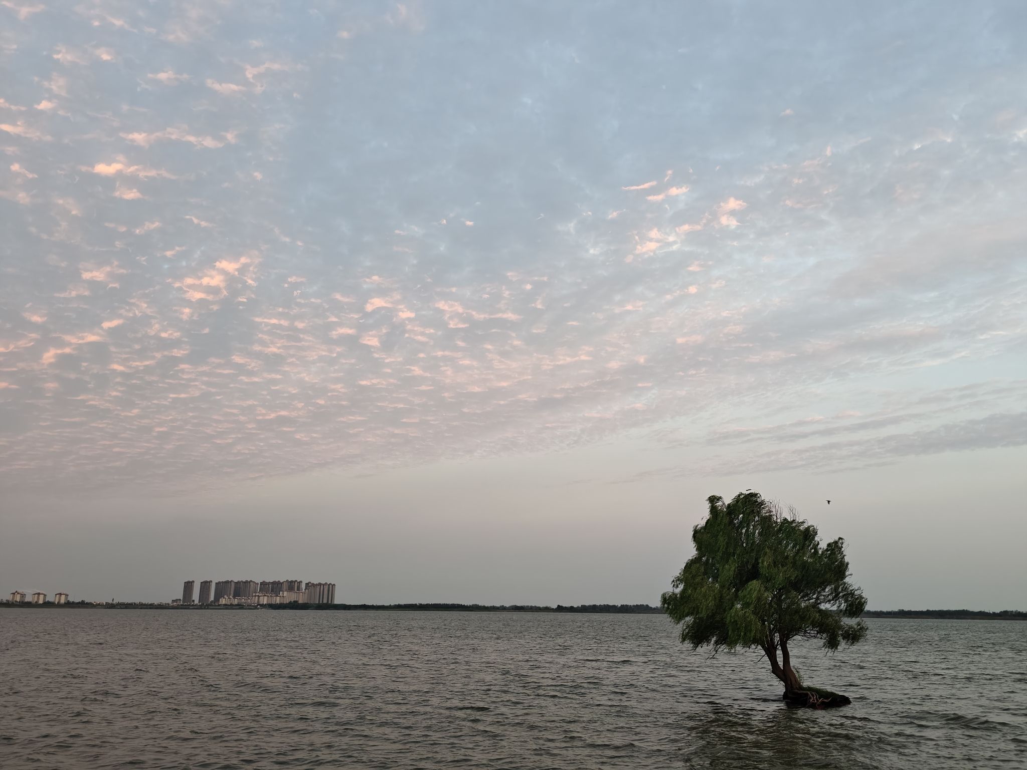 芜湖外龙窝湖湿地自然公园旅行图片 1