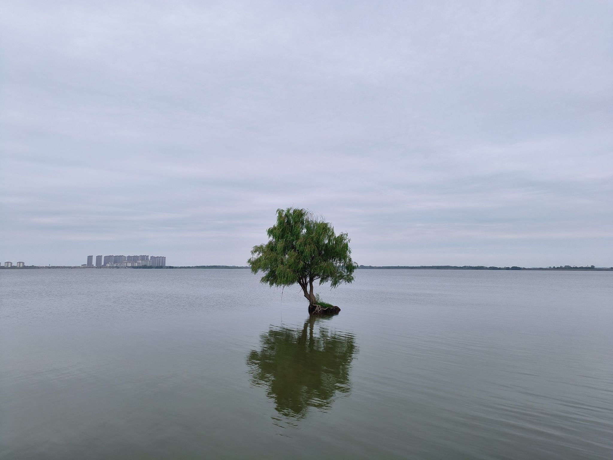 芜湖外龙窝湖湿地自然公园旅行图片 2