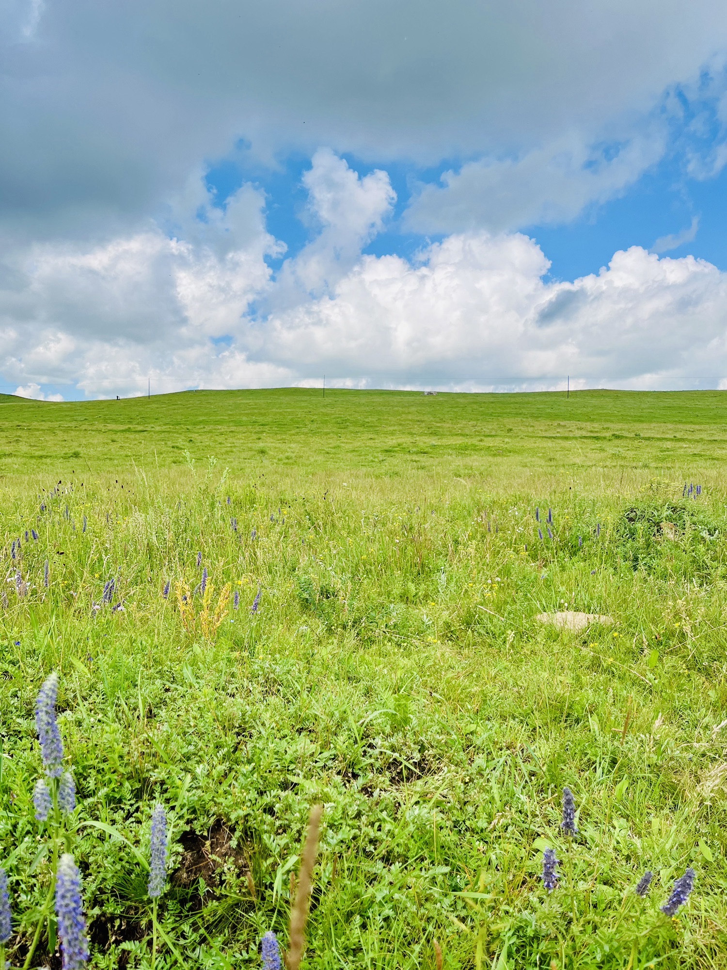 辉腾锡勒草原景区