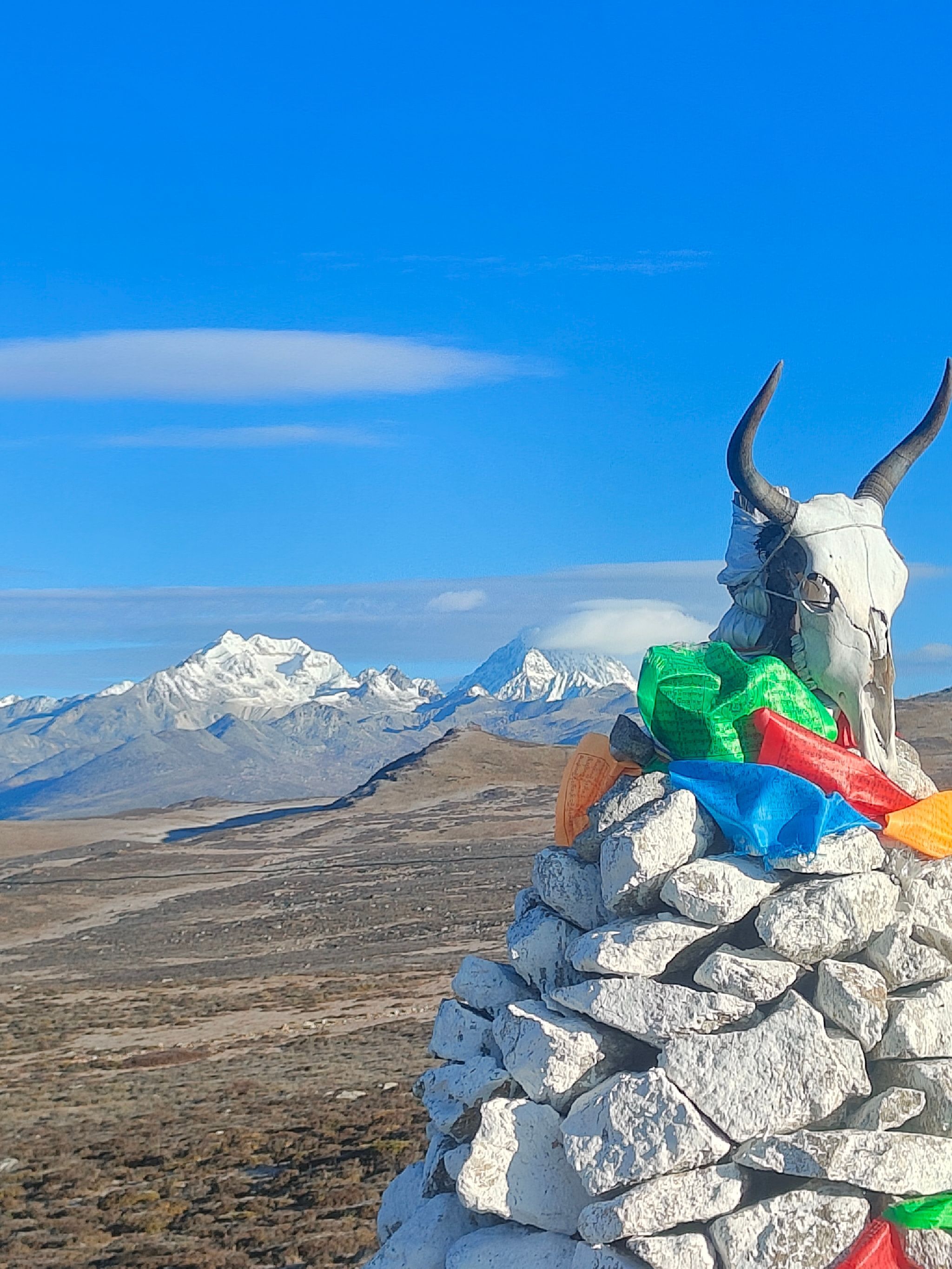 雅拉雪山机场观景台旅行图片 1