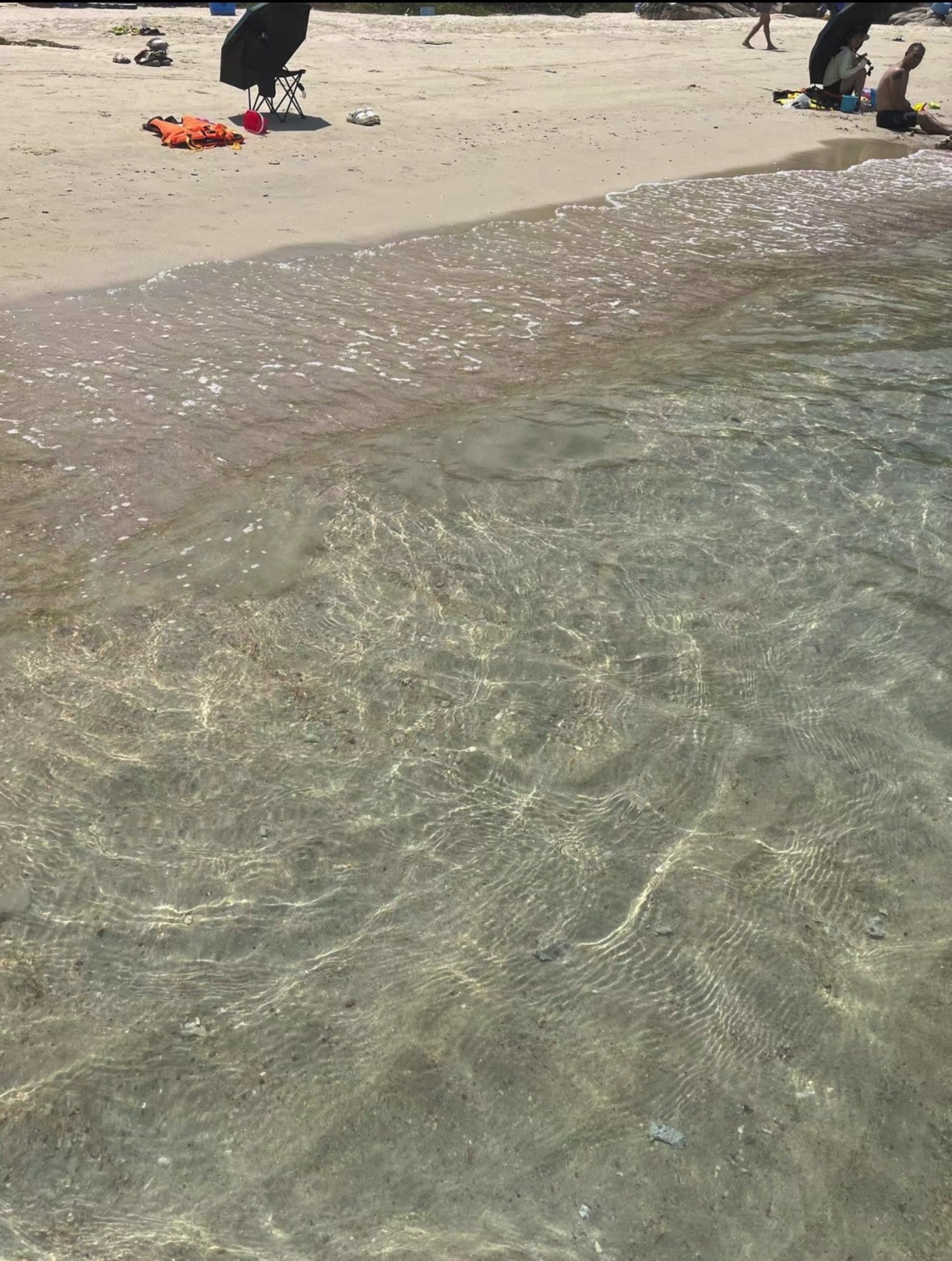 碧甲湾赶海公园旅行图片 1