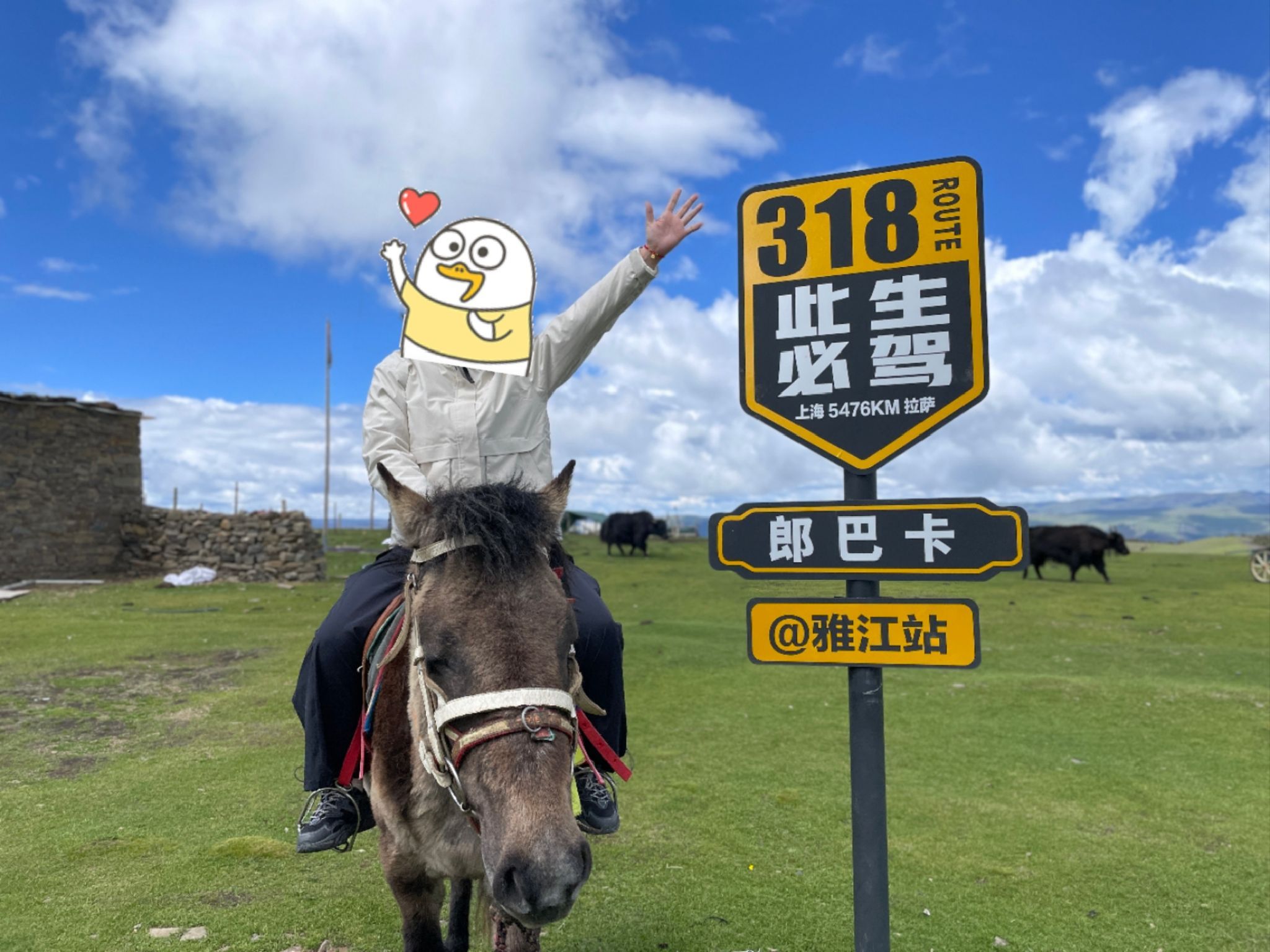 郎巴卡两兄弟骑马场