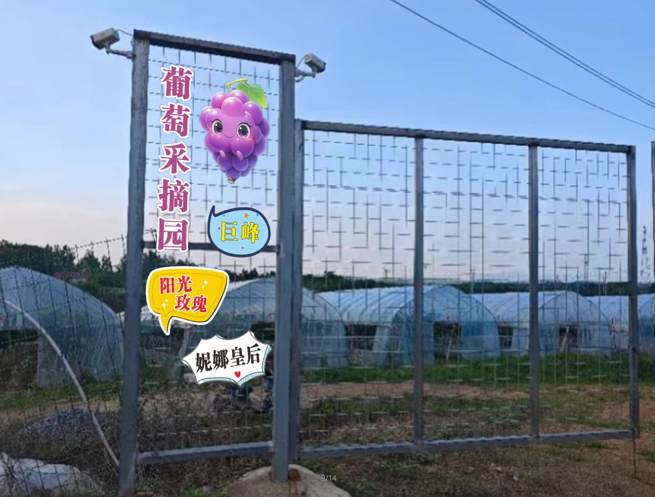 巢湖市中垾镇雨龙家庭农场