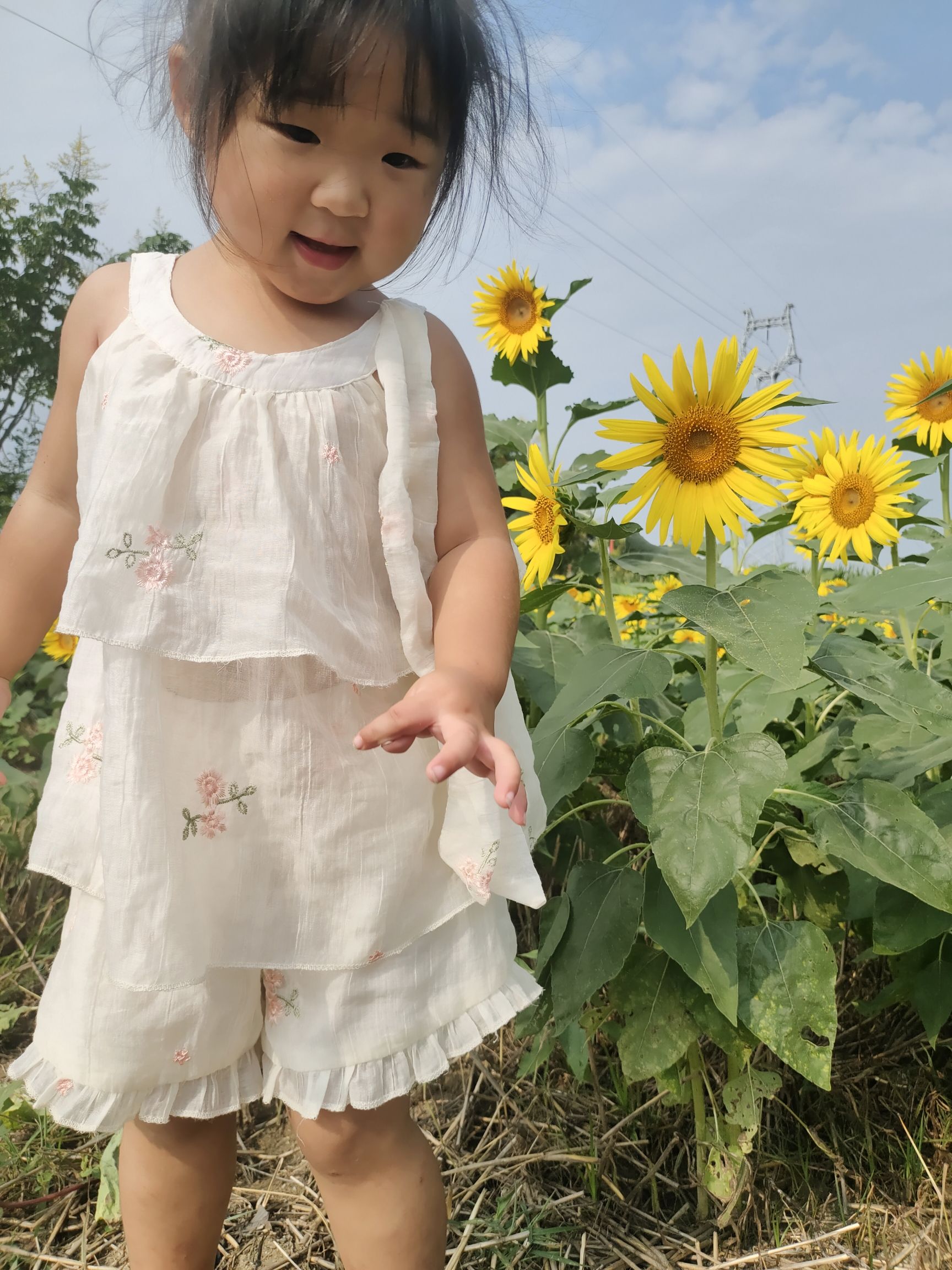 十里花海旅行图片 3