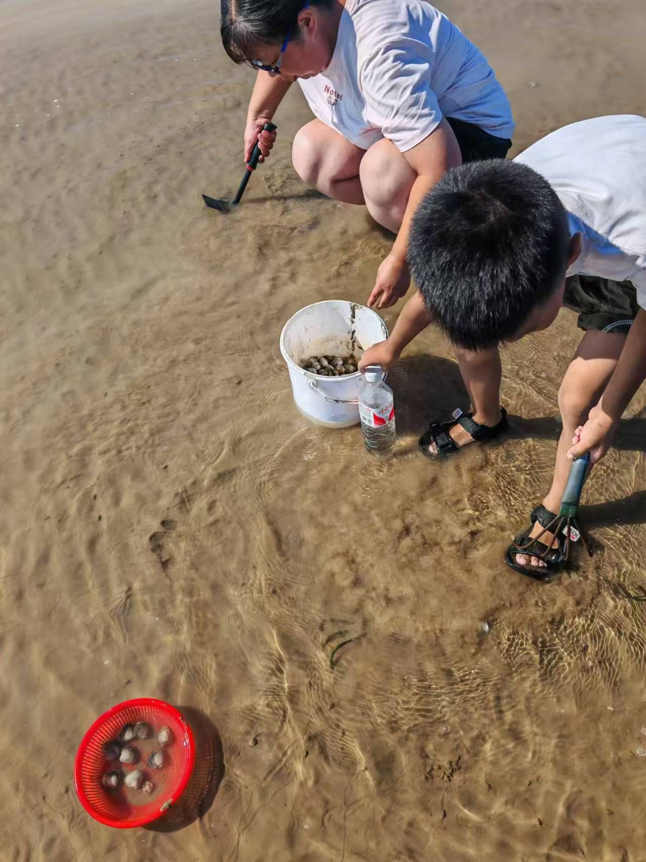 御龙湾金沙滩旅行图片 2