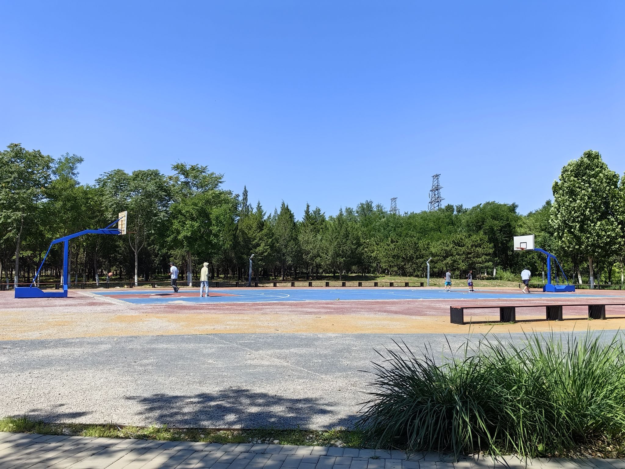 场地封面-篮球场