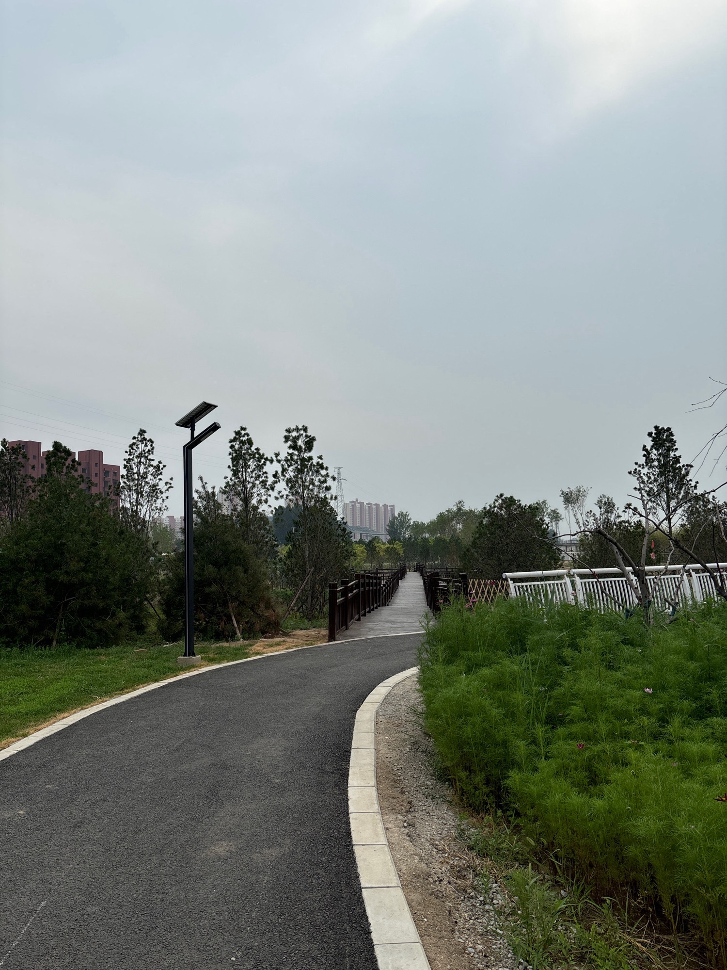雄建公园旅行图片 2