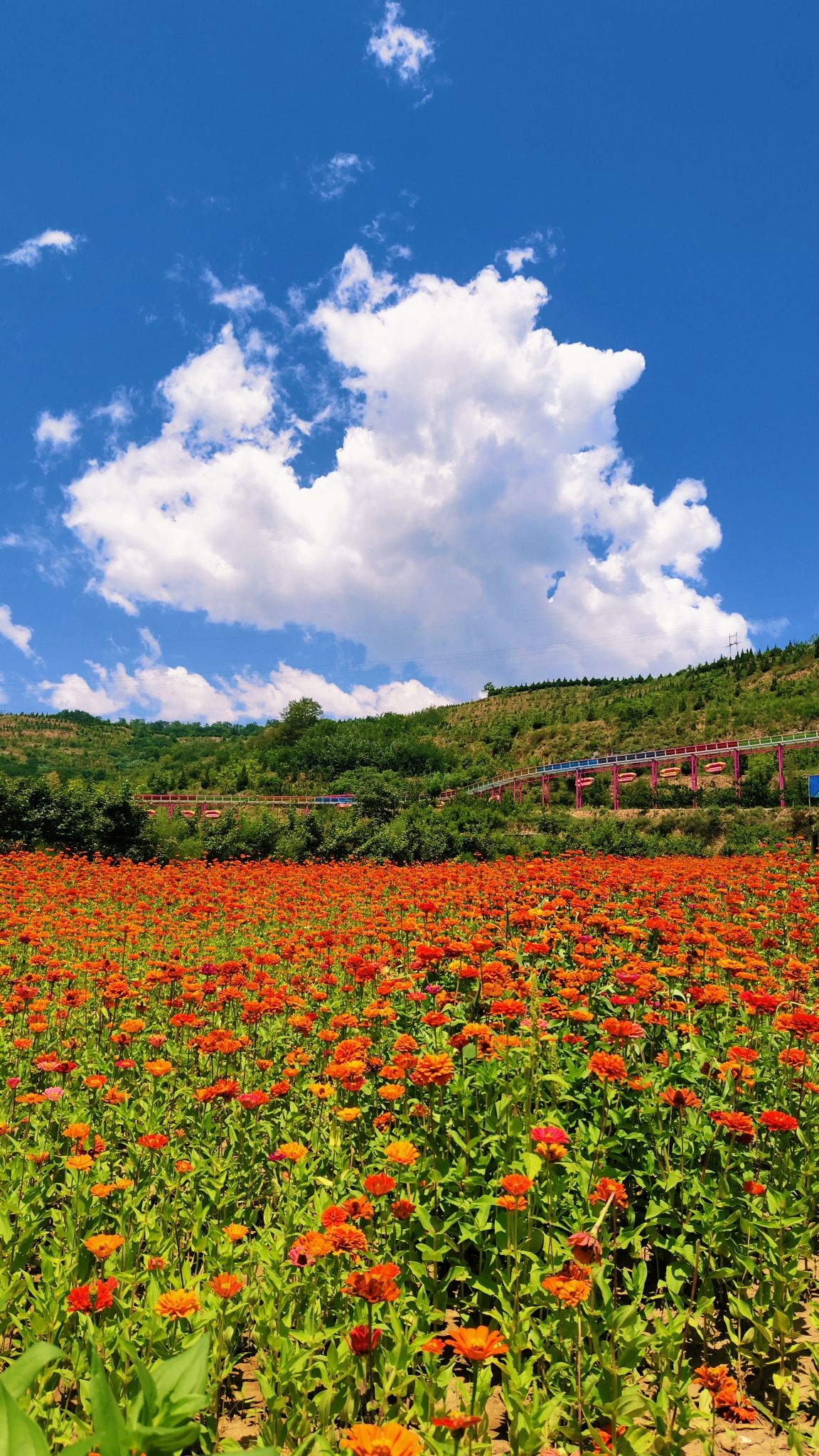 花舞北山户外露营体验基地