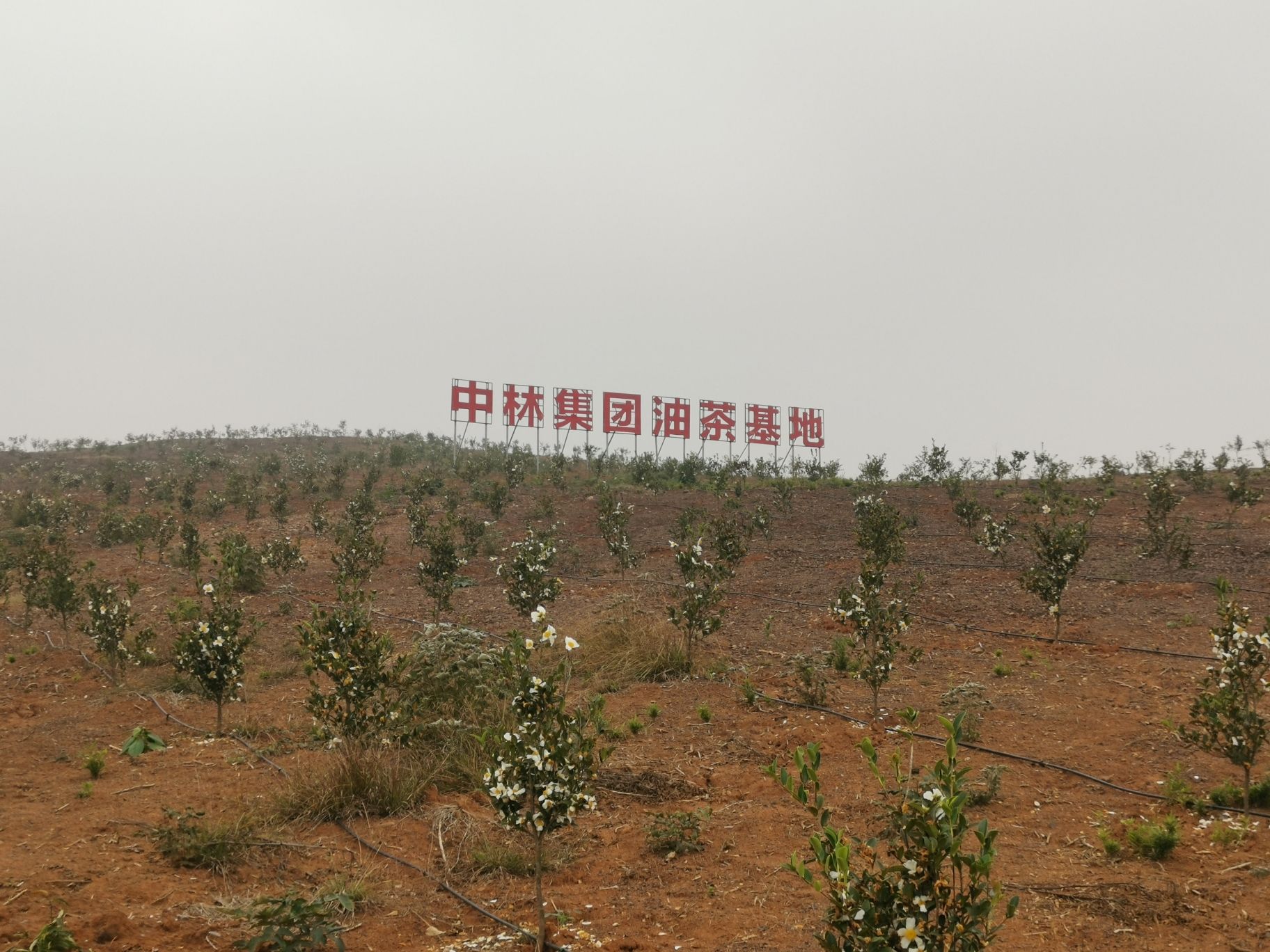 唐家山景区旅行图片 2