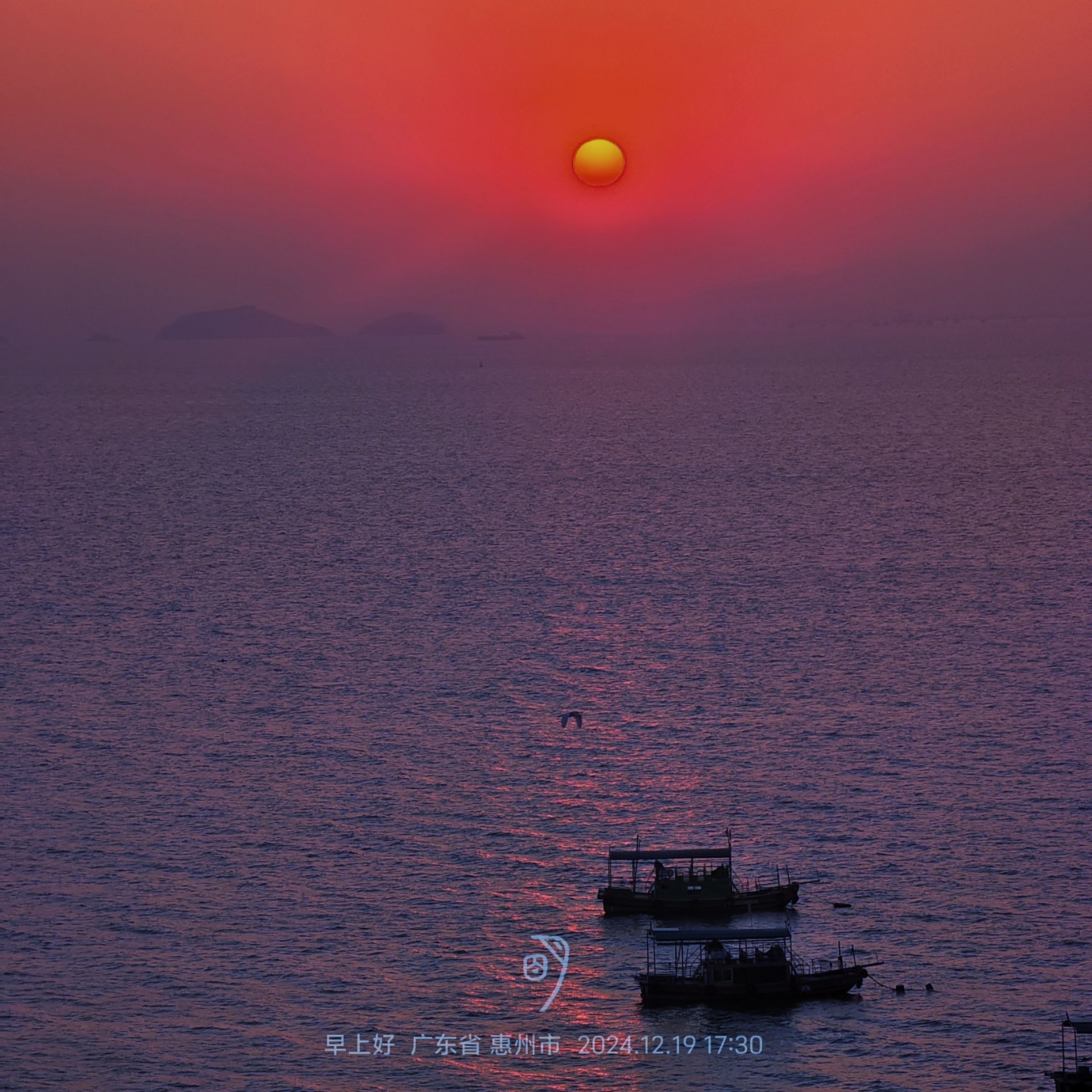 巽寮湾赶海沙滩旅行图片 1