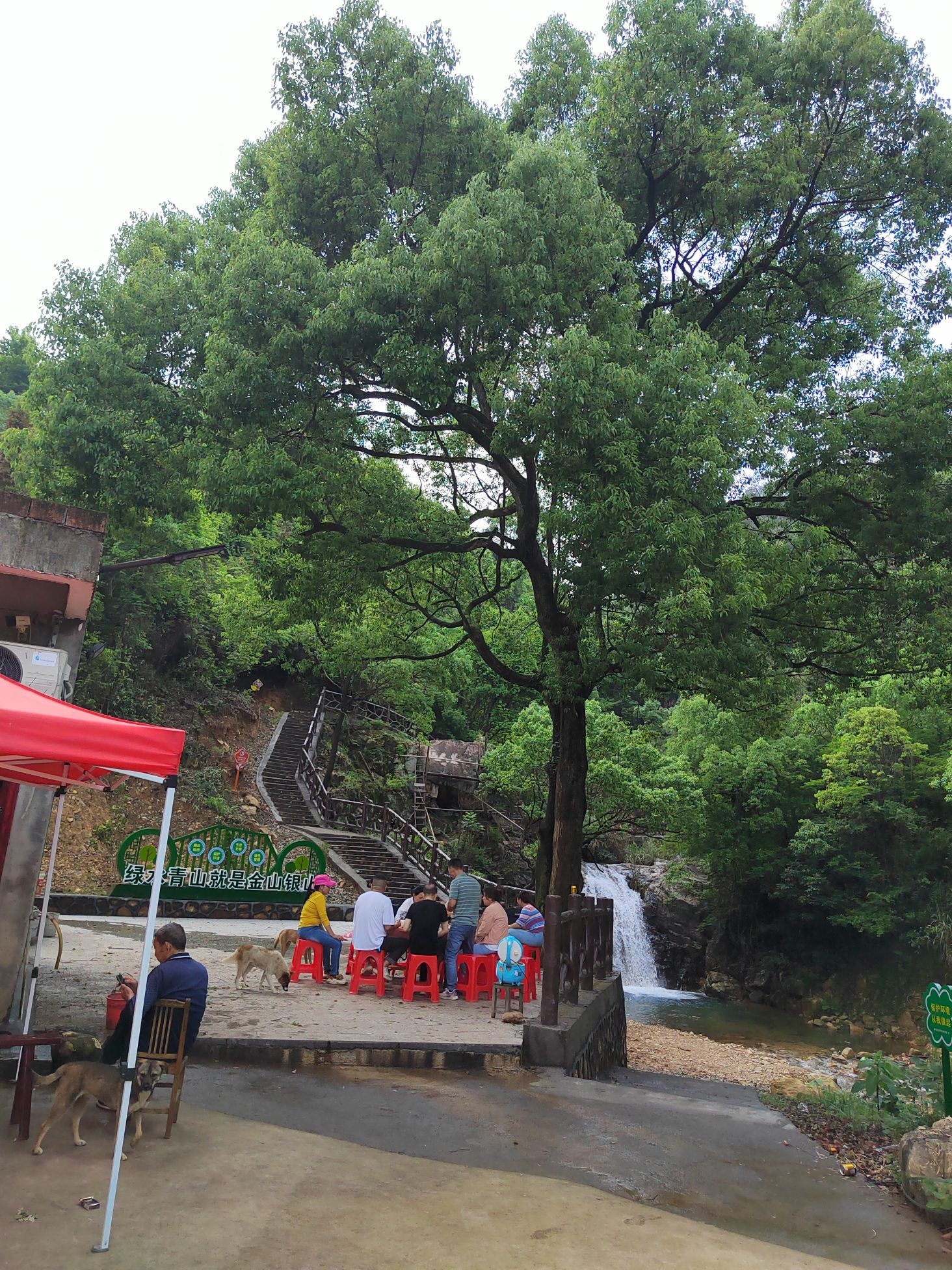 风仙谷旅行图片 1