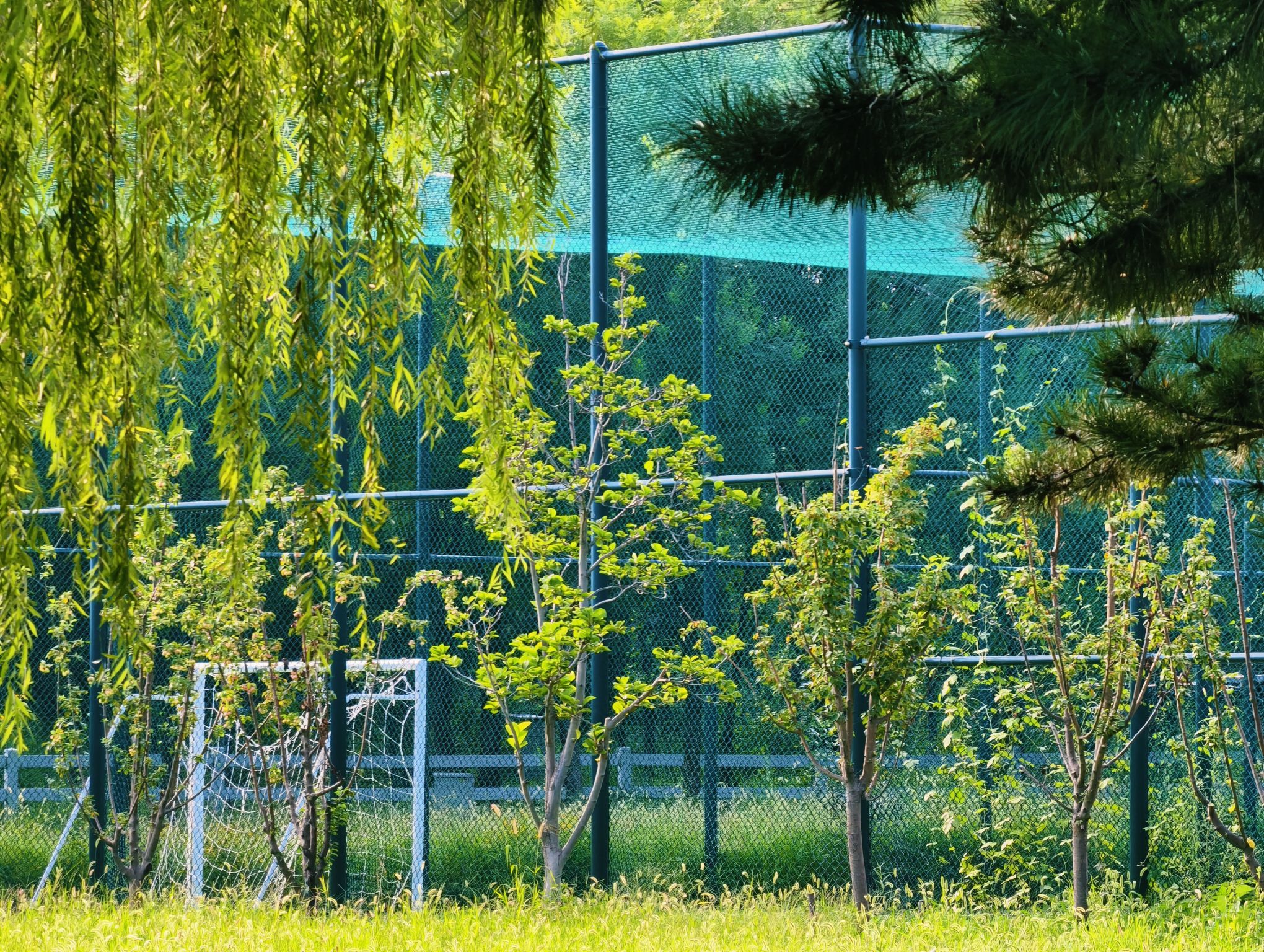 场地封面-昌平新城滨河森林公园-篮球场