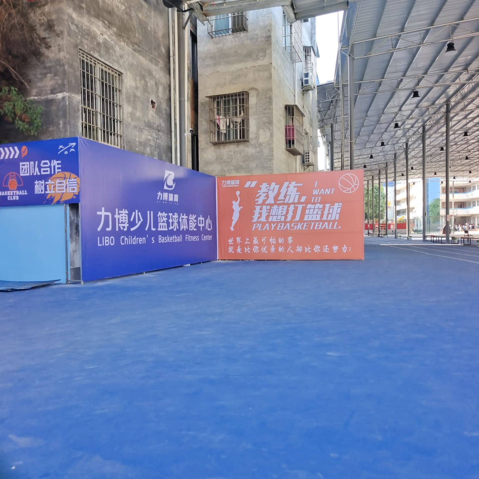 力博体育