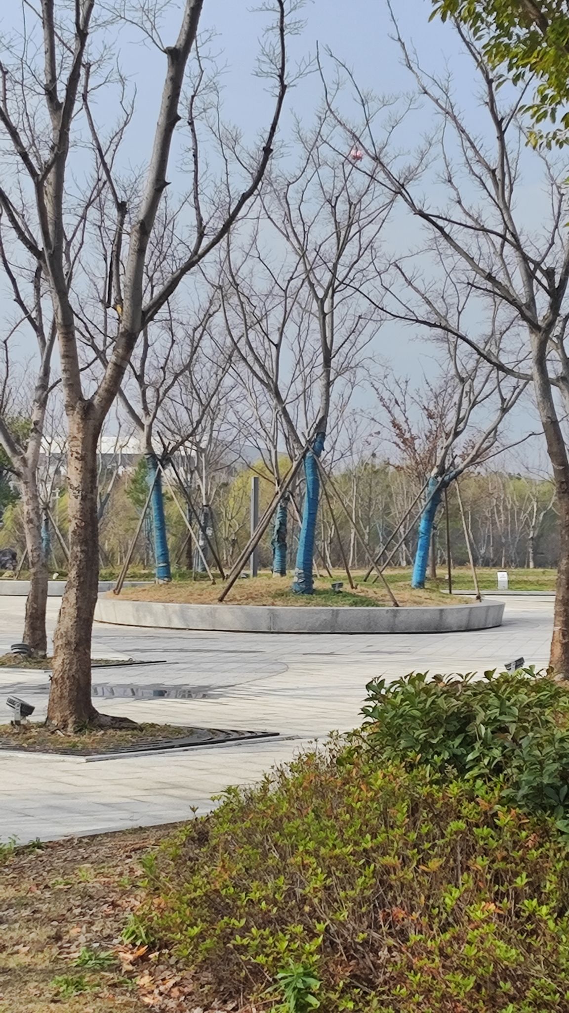 马拉松主题公园