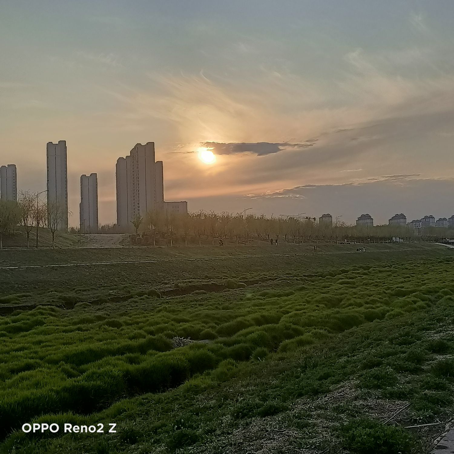 常家公园旅行图片 2