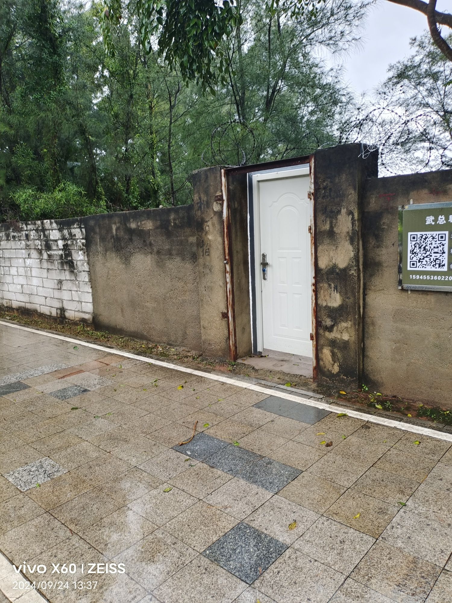 较场尾无人沙滩旅行图片 3