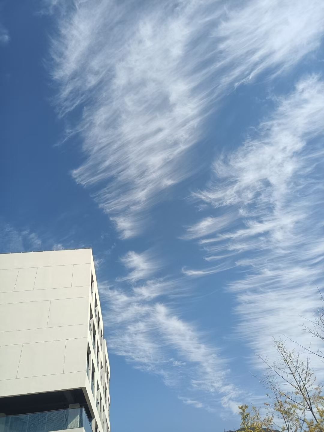 白水漈森林公园旅行图片 3