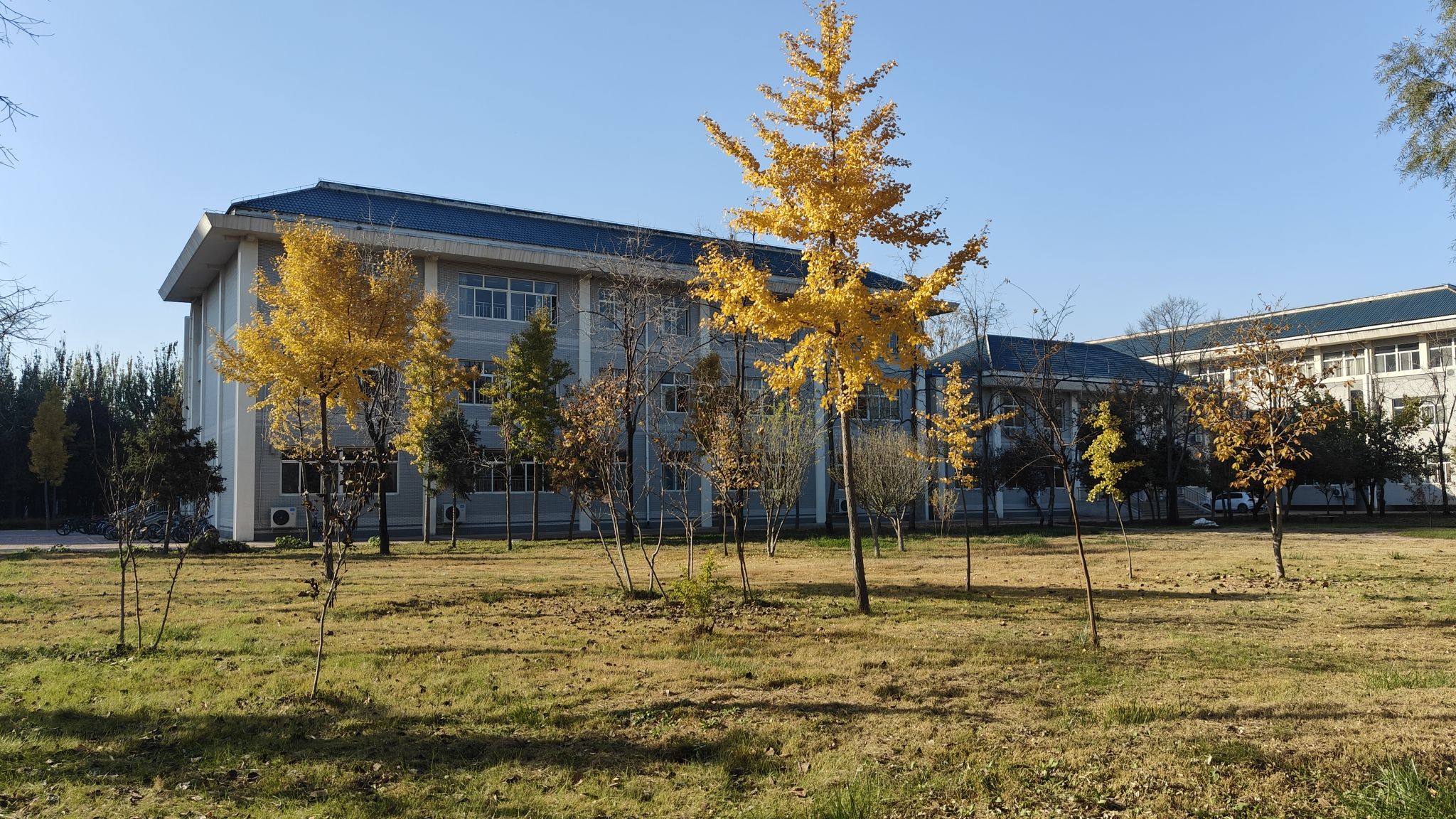 保定学院