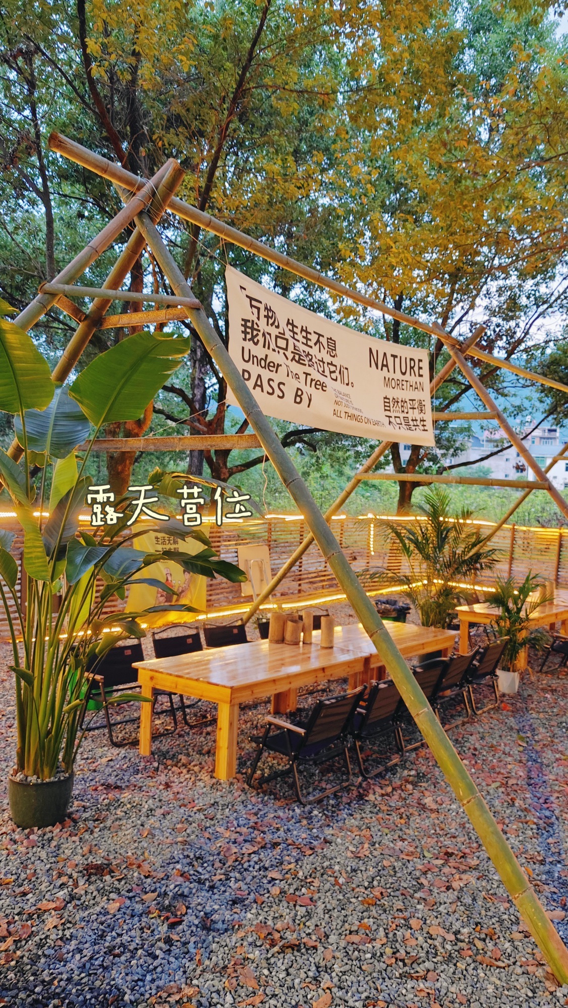Under Tree·树下露营基地