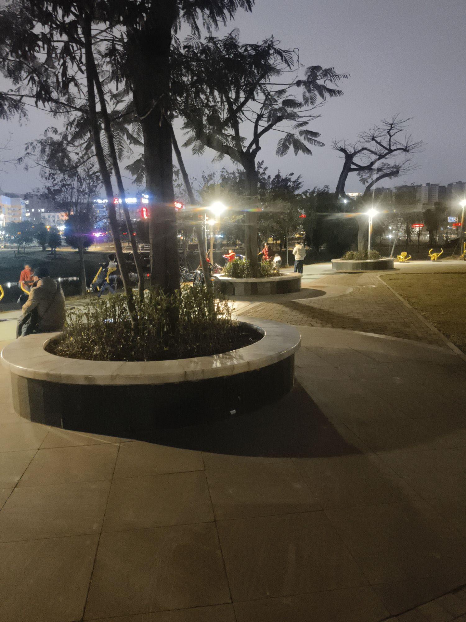 北湖北湿地公园旅行图片 1