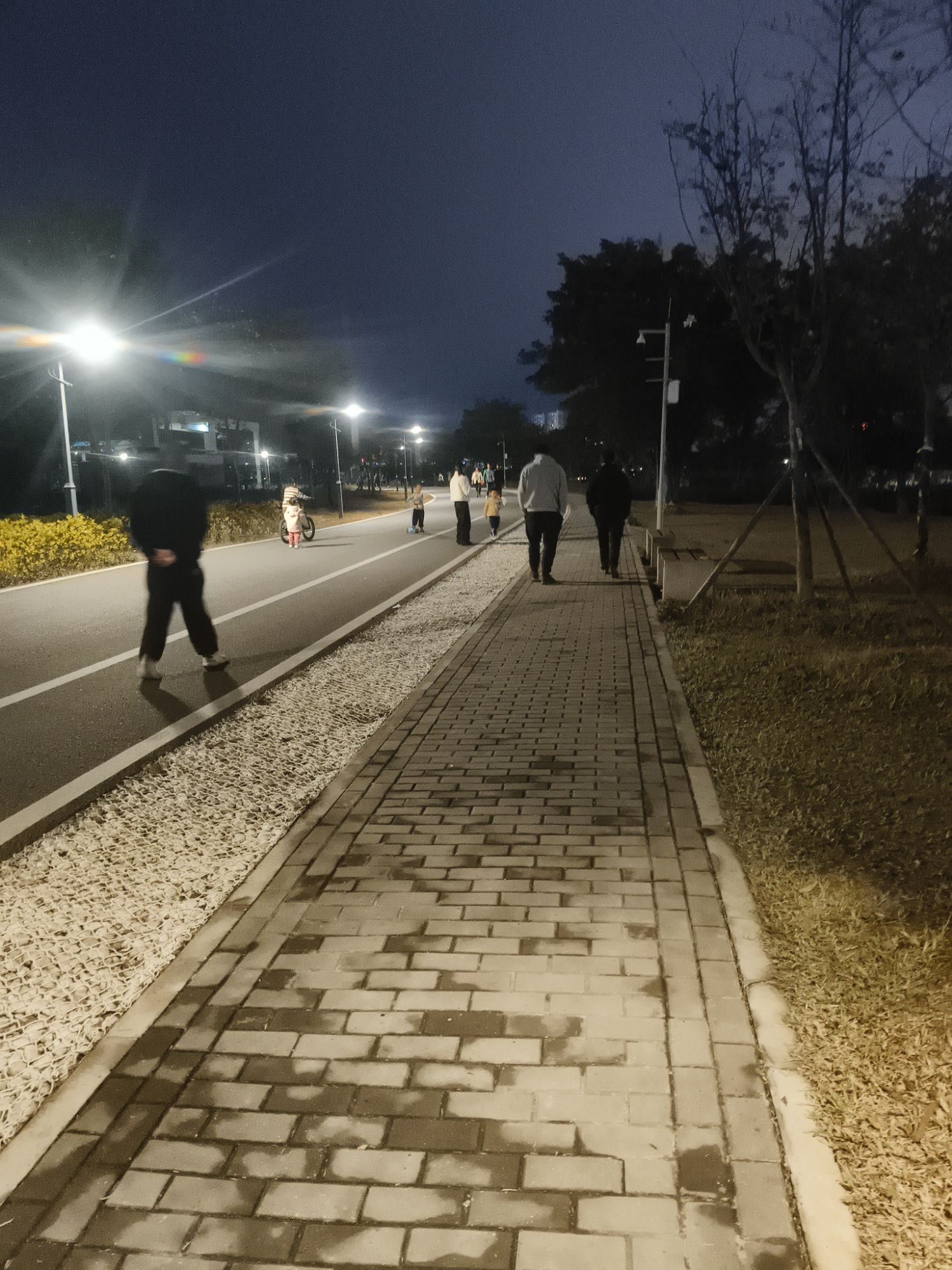 北湖北湿地公园旅行图片 2