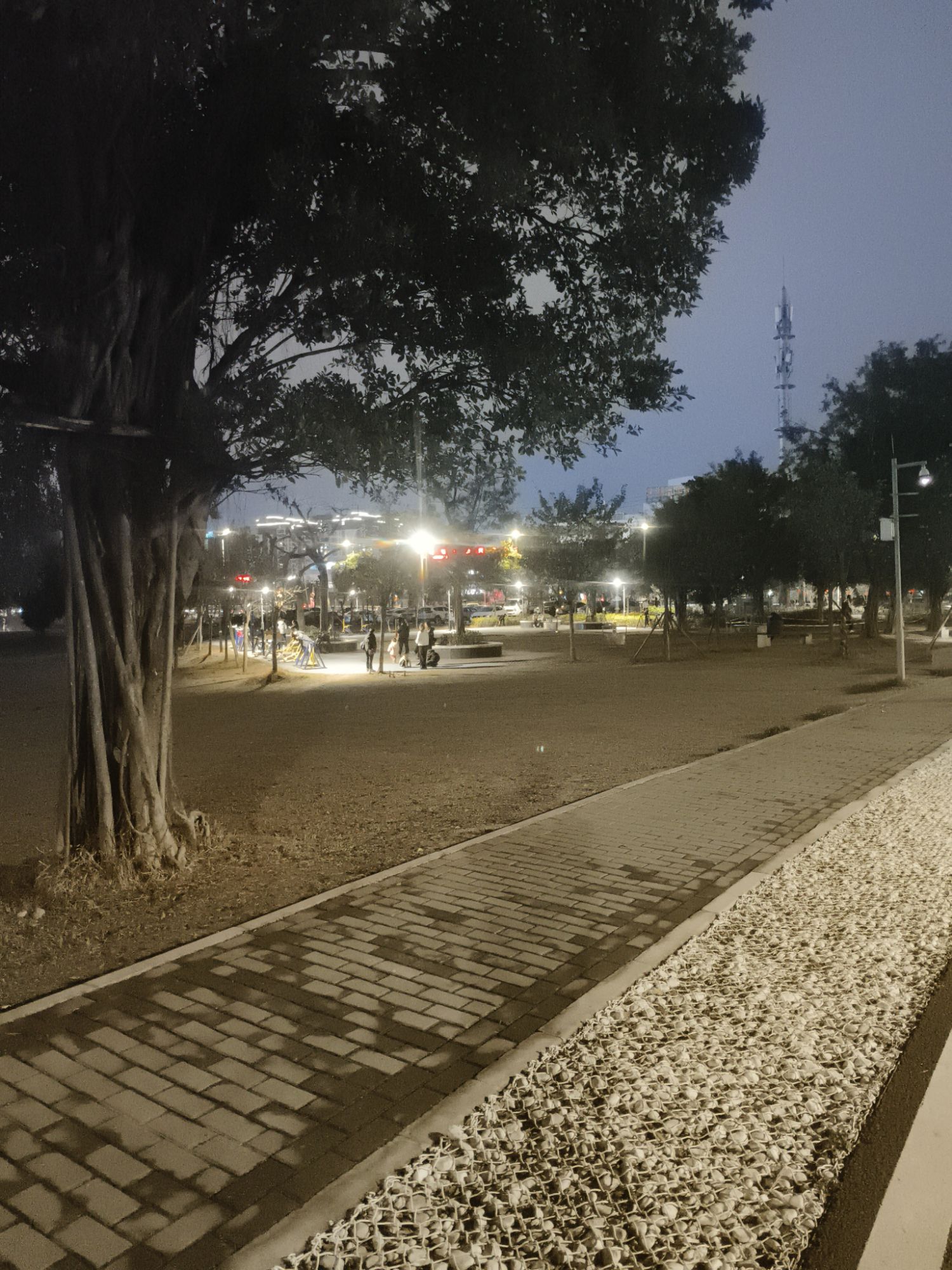 北湖北湿地公园旅行图片 3